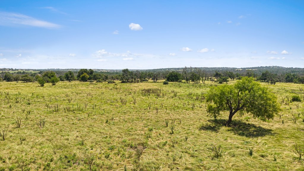 Tbd Reeh Road Fredericksburg, TX 78624 - Photo 11 of 37 Vast green meadows stretch towards a distant tree line under an expansive blue sky, offering boundless potential.