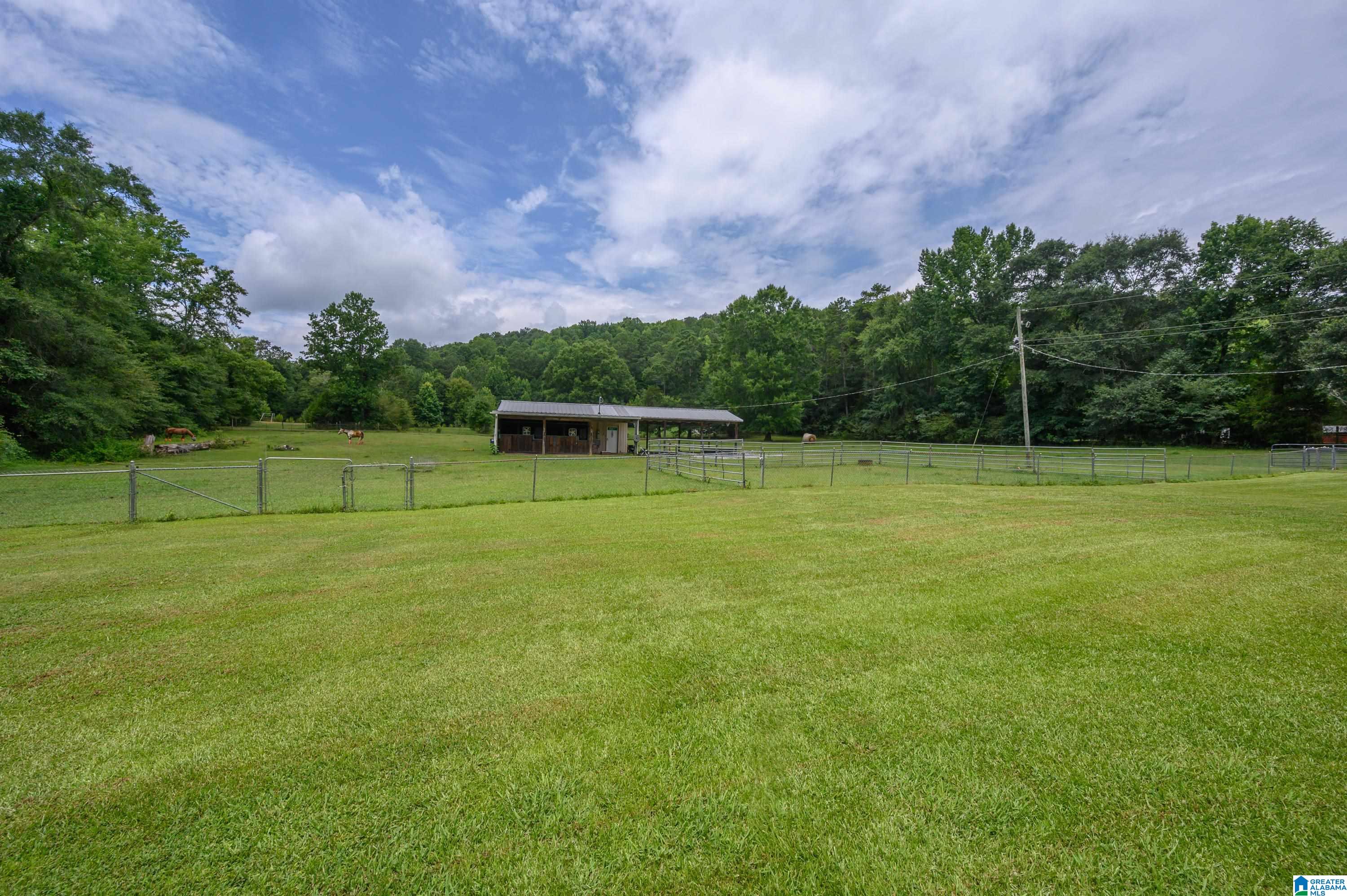 125 Homebrew Knob Ragland, AL 35131 - Photo 35 of 81 Gallery Image 35