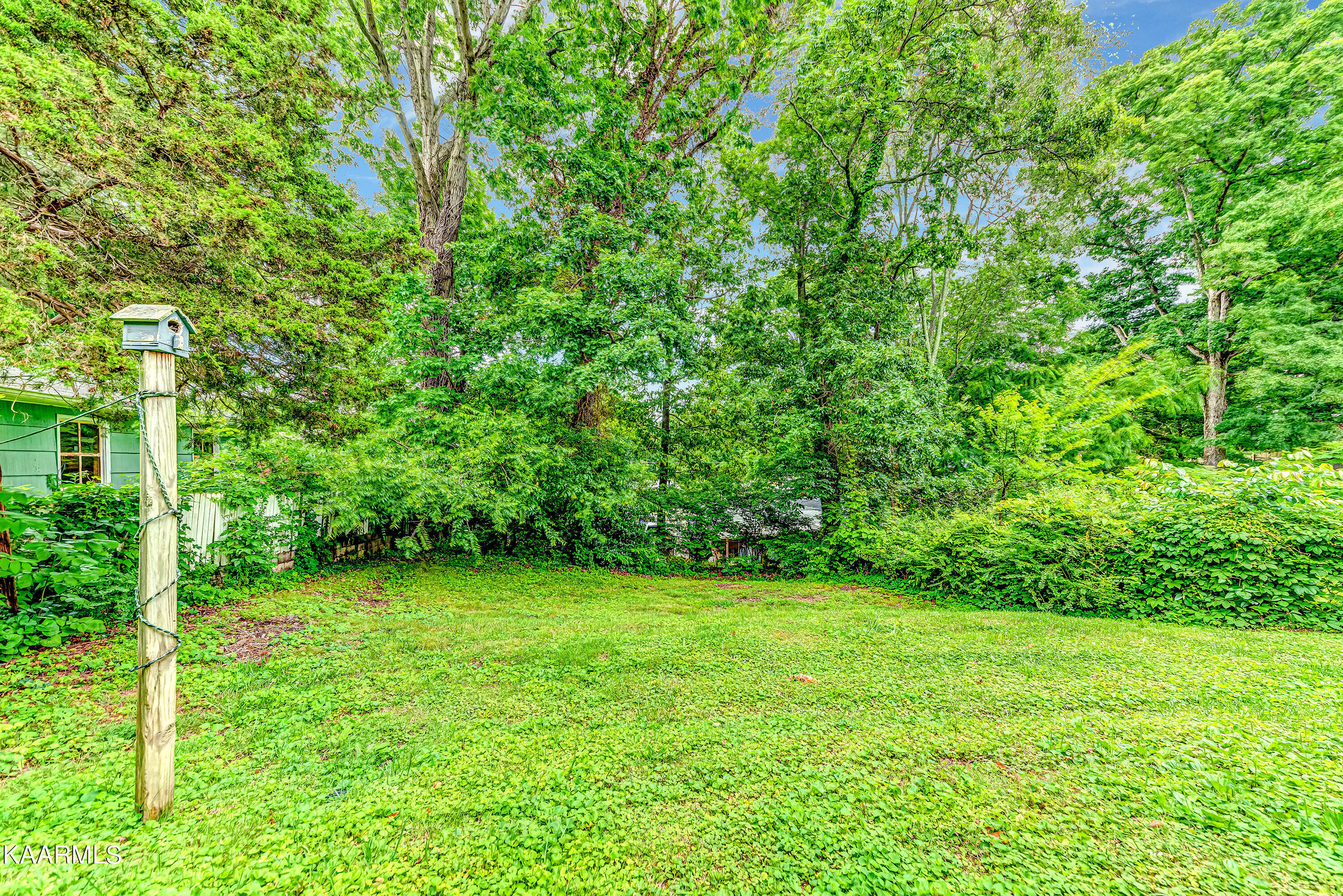 5724 Kentwood Road Knoxville, TN 37912 - Photo 5 of 16 Daniel steben -4