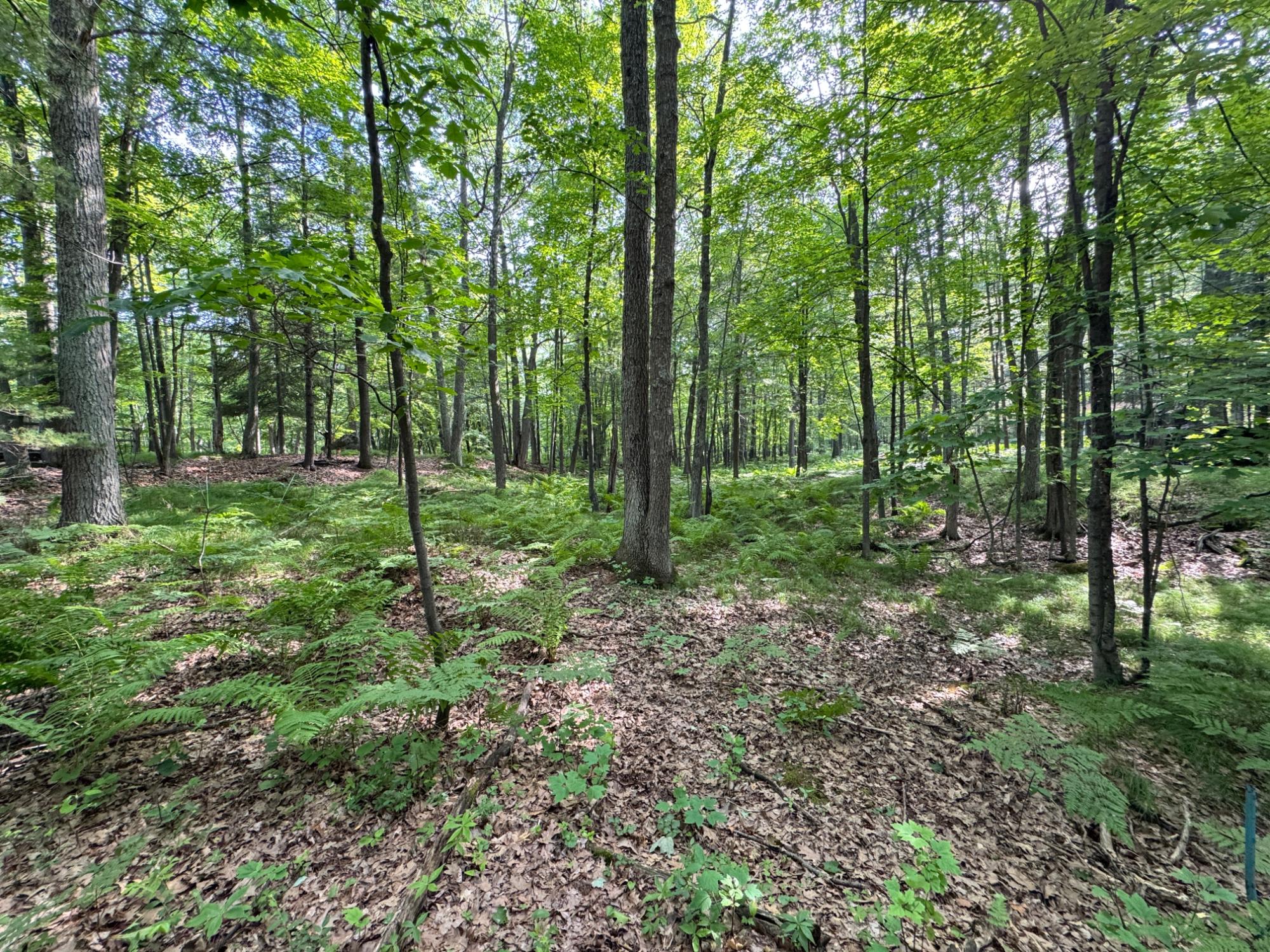 9735 Lee Lake Road Hazelhurst, WI 54531 - Photo 12 of 14 Gallery Image 12