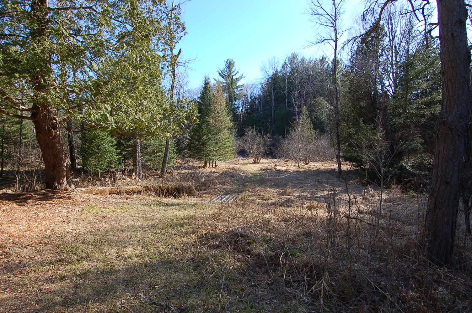 21371 Hibma Road Tustin, MI 49688 - Photo 3 of 20
