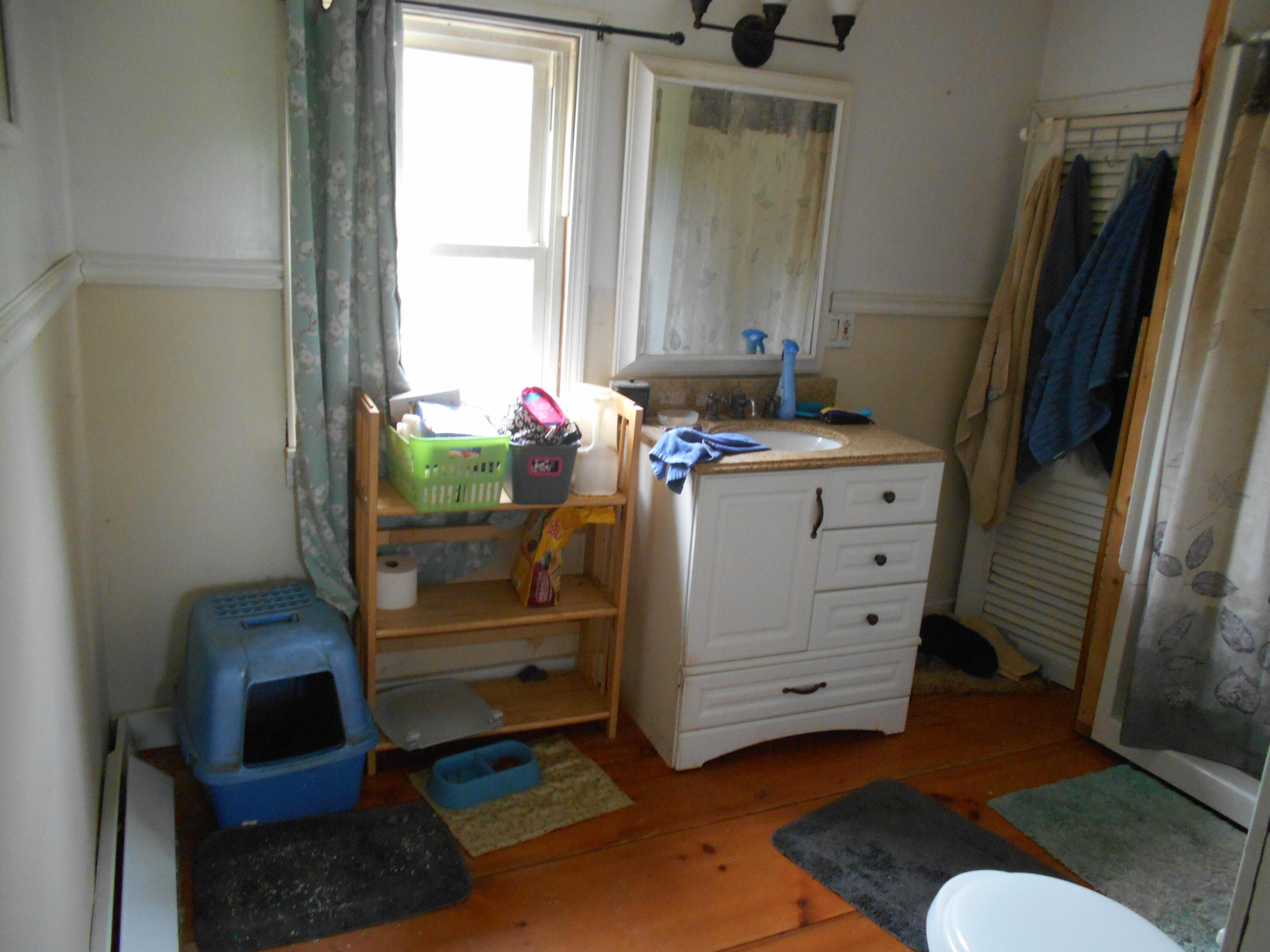 840 North Chester Road Lincoln, ME 04457 - Photo 51 of 68 DSCN7808