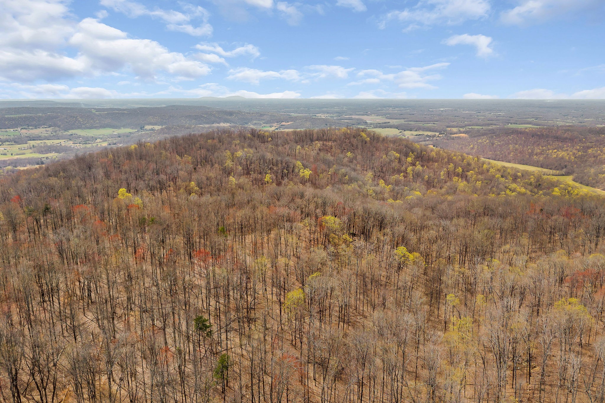 0 White Oak Flatt Road Sparta, TN 38583 - Photo 12 of 15