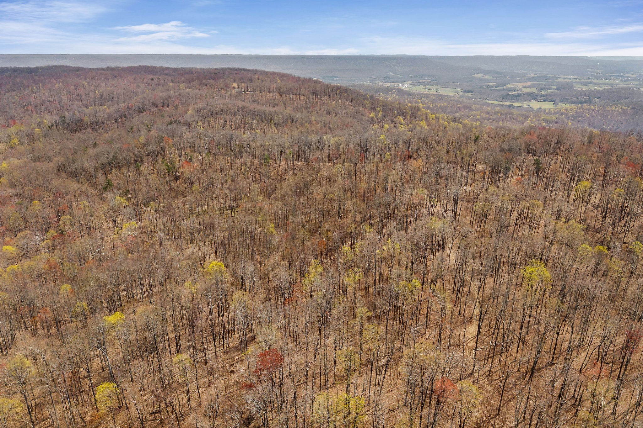 0 White Oak Flatt Road Sparta, TN 38583 - Photo 13 of 15