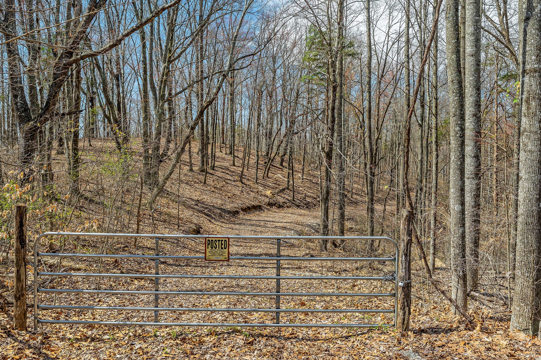 0 White Oak Flatt Road Sparta, TN 38583 - Photo 3 of 15