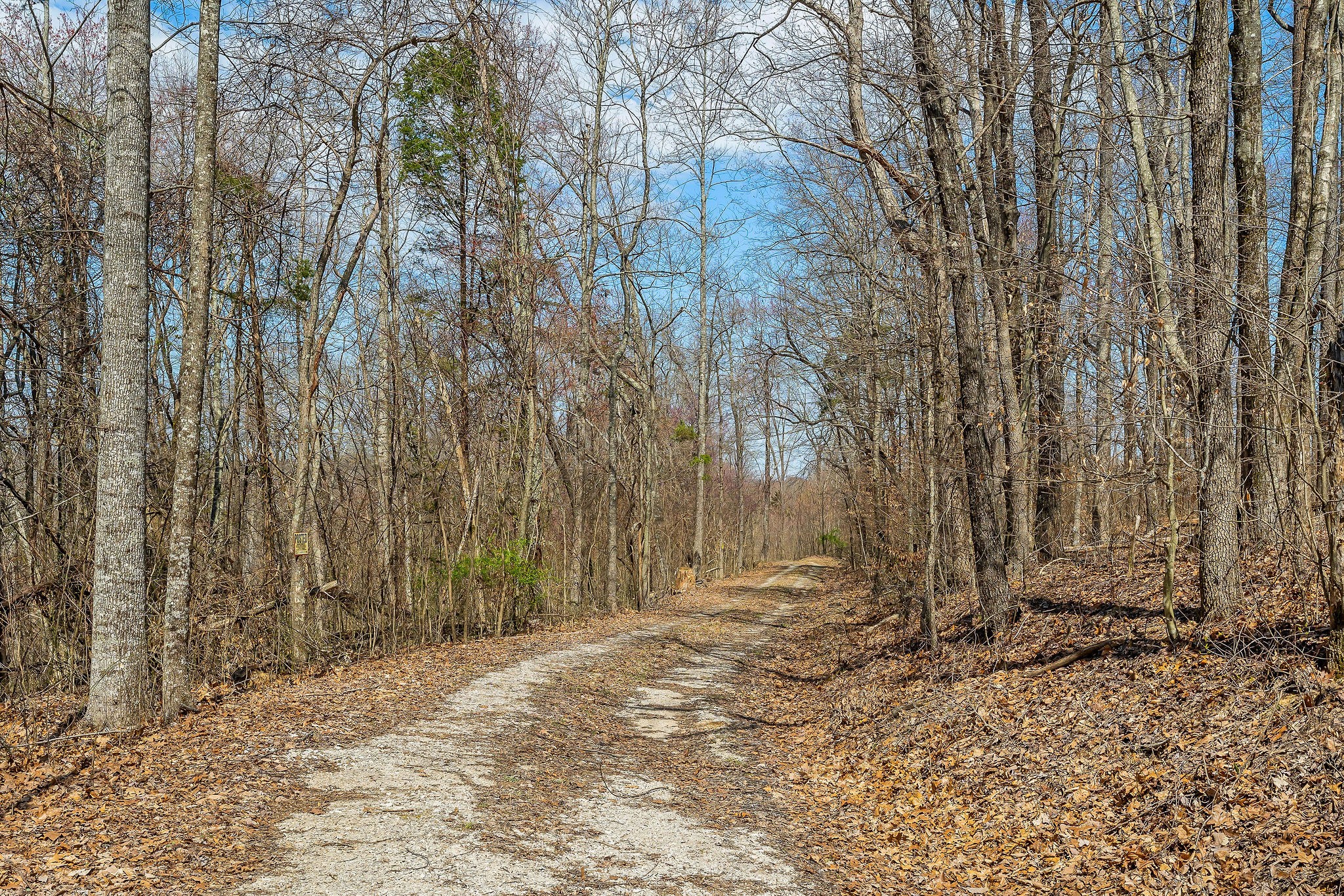 0 White Oak Flatt Road Sparta, TN 38583 - Photo 4 of 15