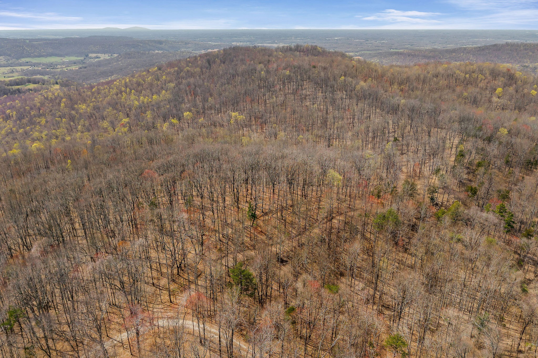 0 White Oak Flatt Road Sparta, TN 38583 - Photo 5 of 15