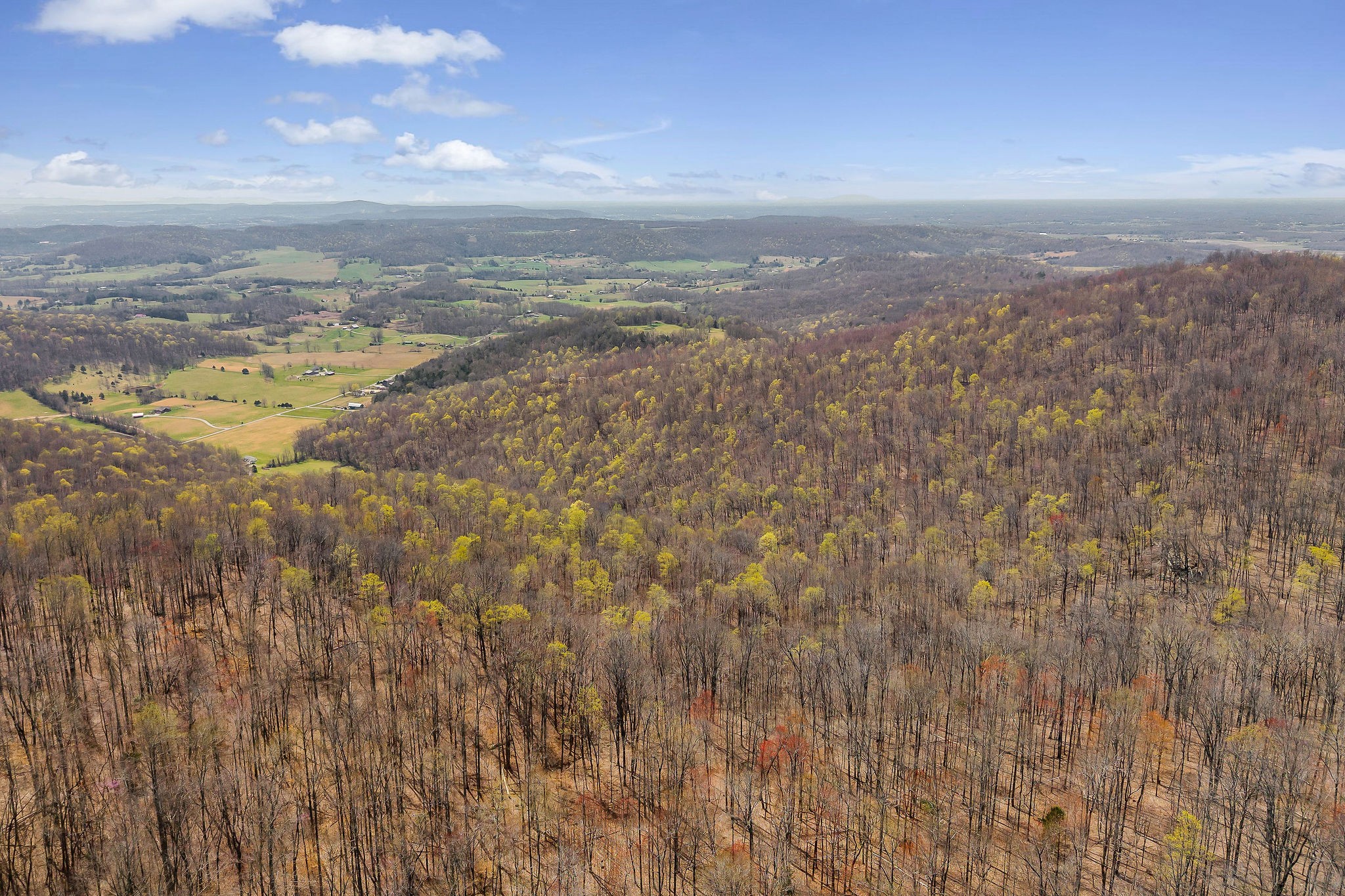0 White Oak Flatt Road Sparta, TN 38583 - Photo 6 of 15