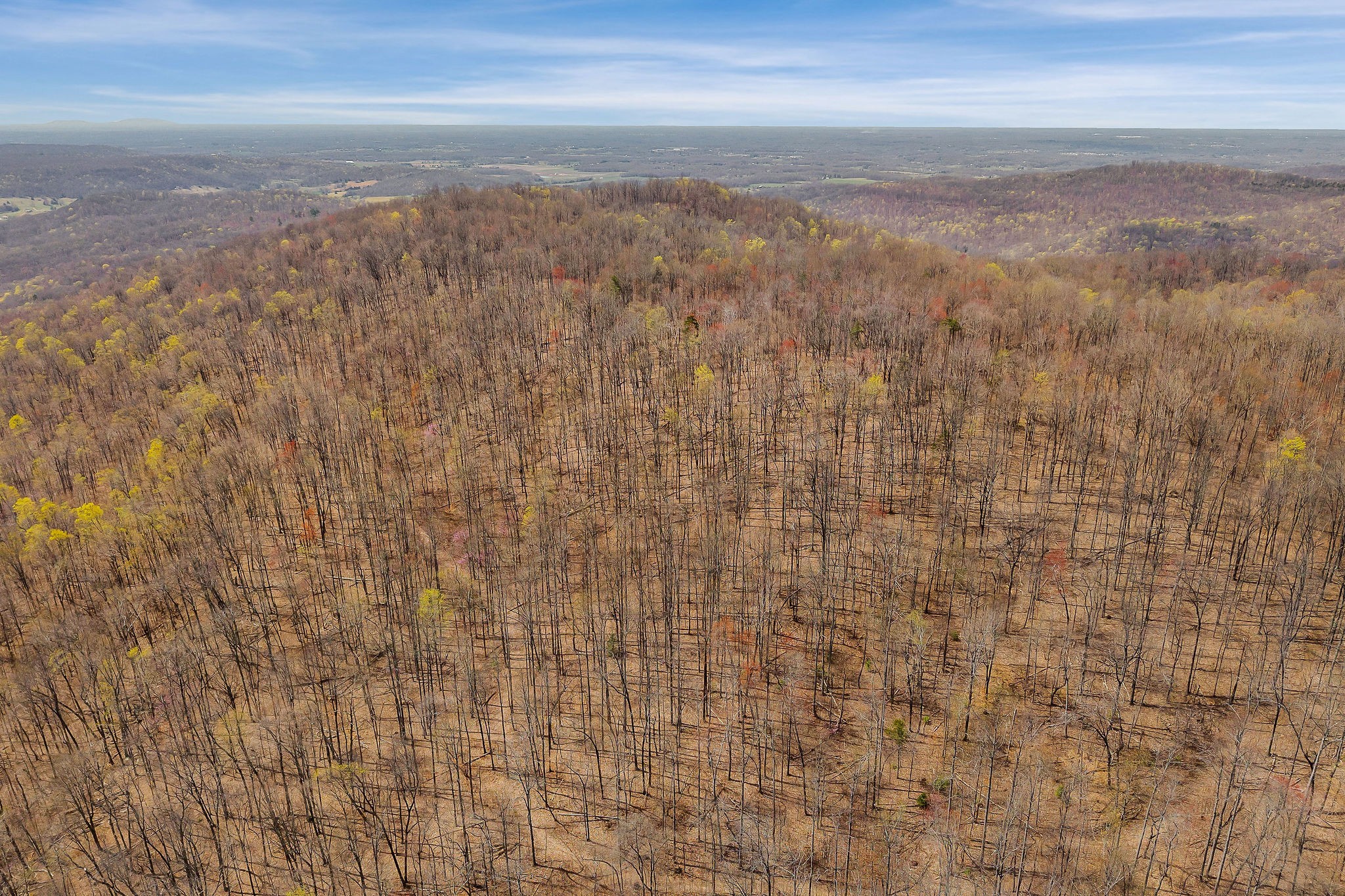 0 White Oak Flatt Road Sparta, TN 38583 - Photo 8 of 15