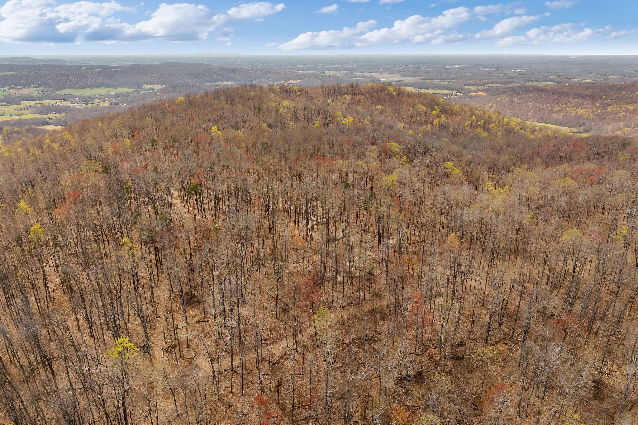 0 White Oak Flatt Road Sparta, TN 38583 - Photo 10 of 15