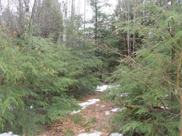 41 Rocky Ridge Lane Smithfield, ME 04978 - Photo 2 of 3 Photo