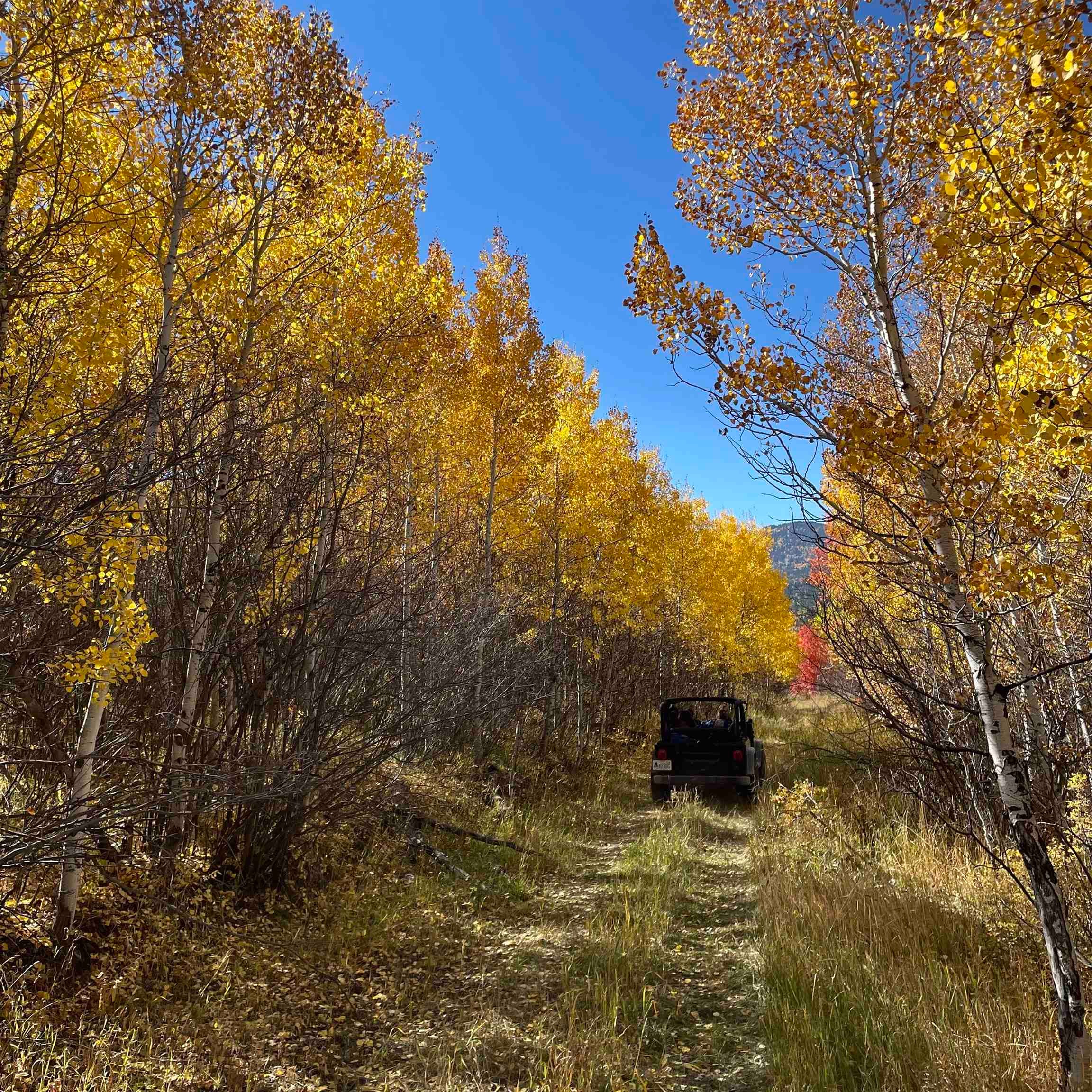 Eight Mile Road Soda Springs, ID 83276 - Photo 1 of 1 Gallery Image 1