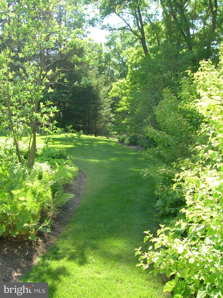 1650 Ridley Creek Road Media, PA 19063 - Photo 42 of 51 A Serene Pathway