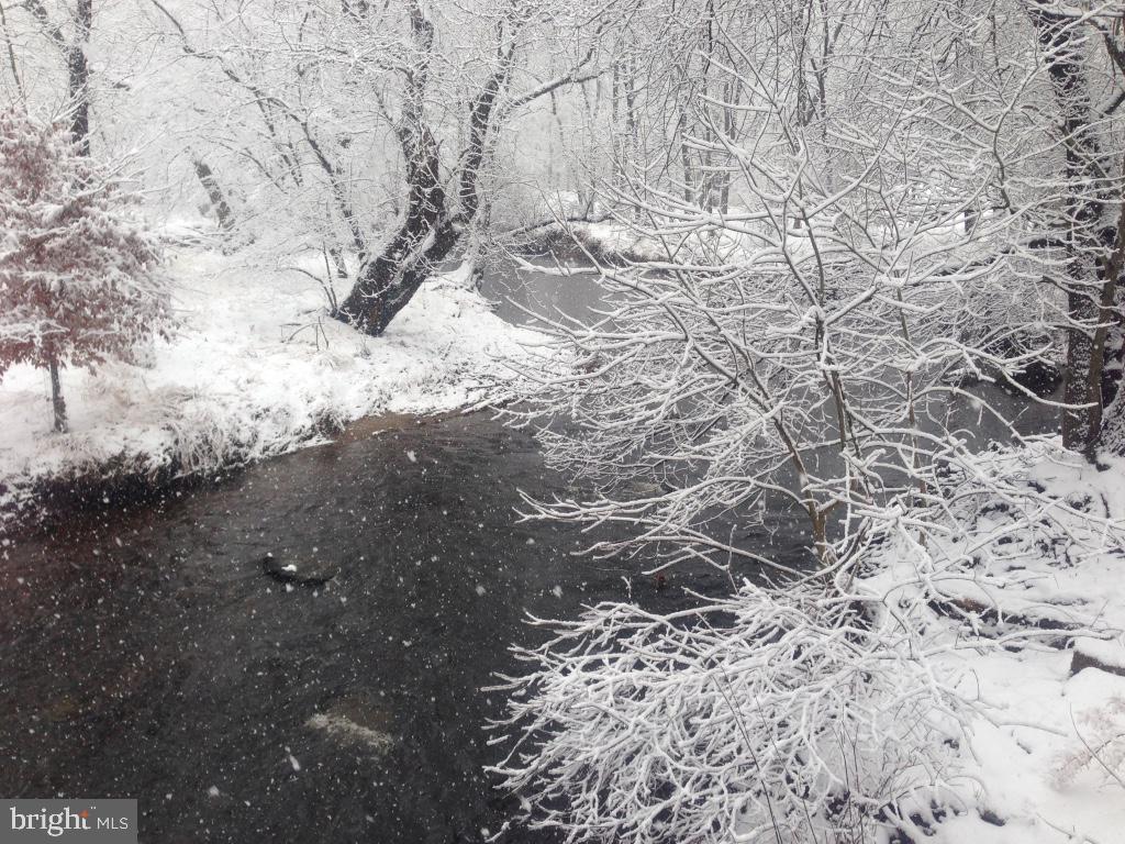 1650 Ridley Creek Road Media, PA 19063 - Photo 47 of 51 Trout Filled Stream