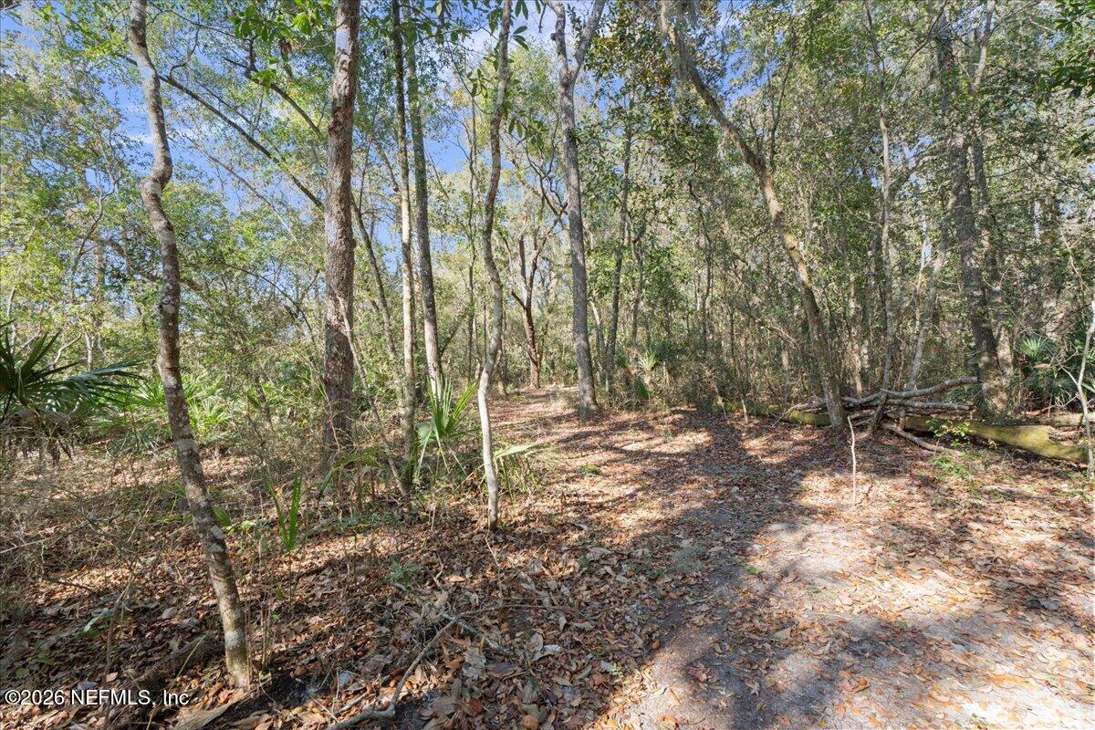 6 Pine Island Road St. Augustine, FL 32095 - Photo 9 of 12 Copy of Copy of Walkable Hardwood Forest