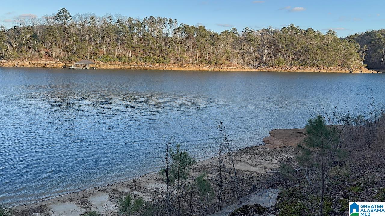 0 Edgewater Bend, Unit 29 Double Springs, AL 35553 - Photo 8 of 18