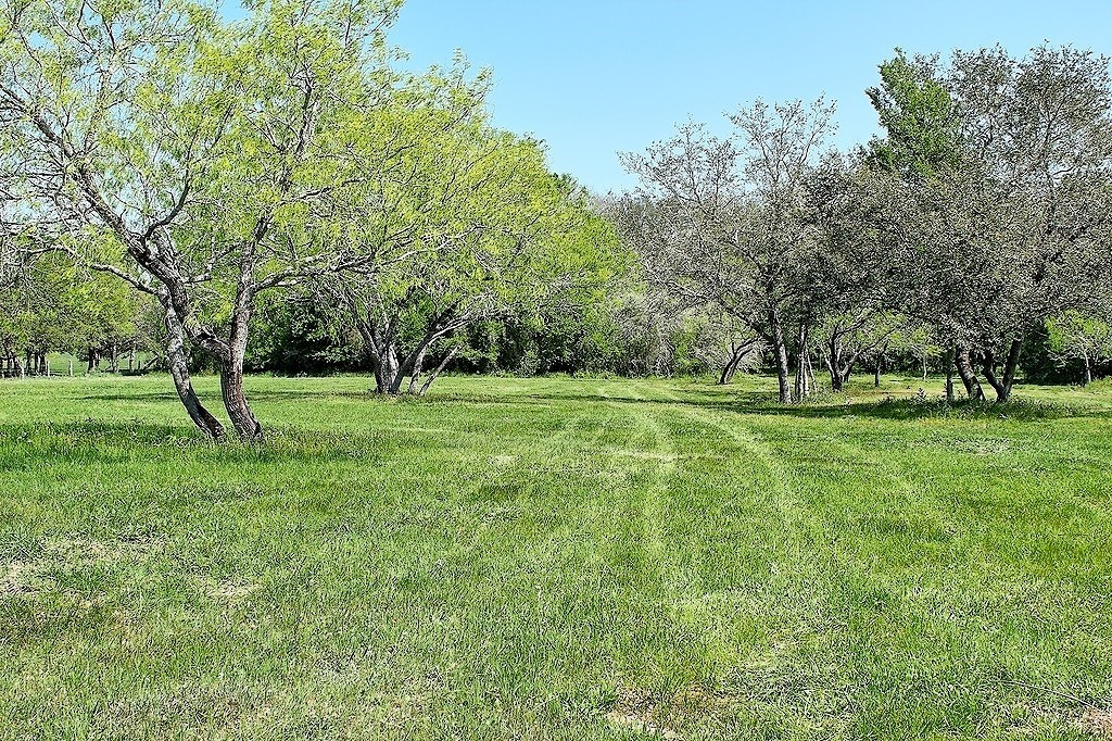 Tbd Scott Road Weimar, TX 78962 - Photo 2 of 16 a view of grassy field with benches and trees all around