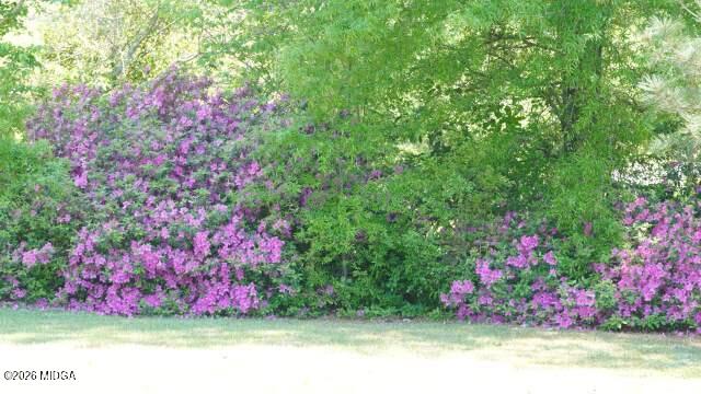 29 Dolly Lane Macon, GA 31217 - Photo 16 of 16 a view of bunch of flowers