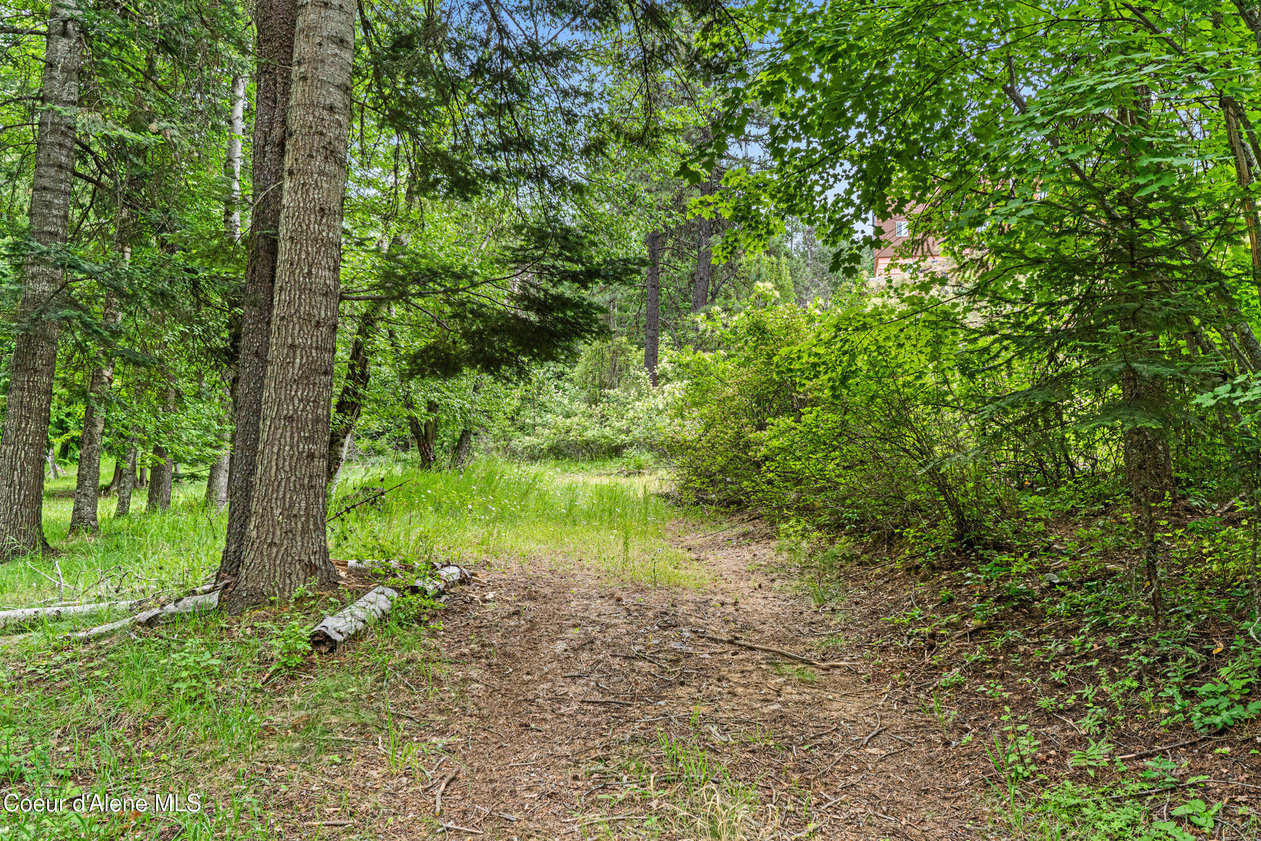 Lot 10 Birch Beauty Road Priest River, ID 83856 - Photo 11 of 41 08-birch-beauty rd-priest river