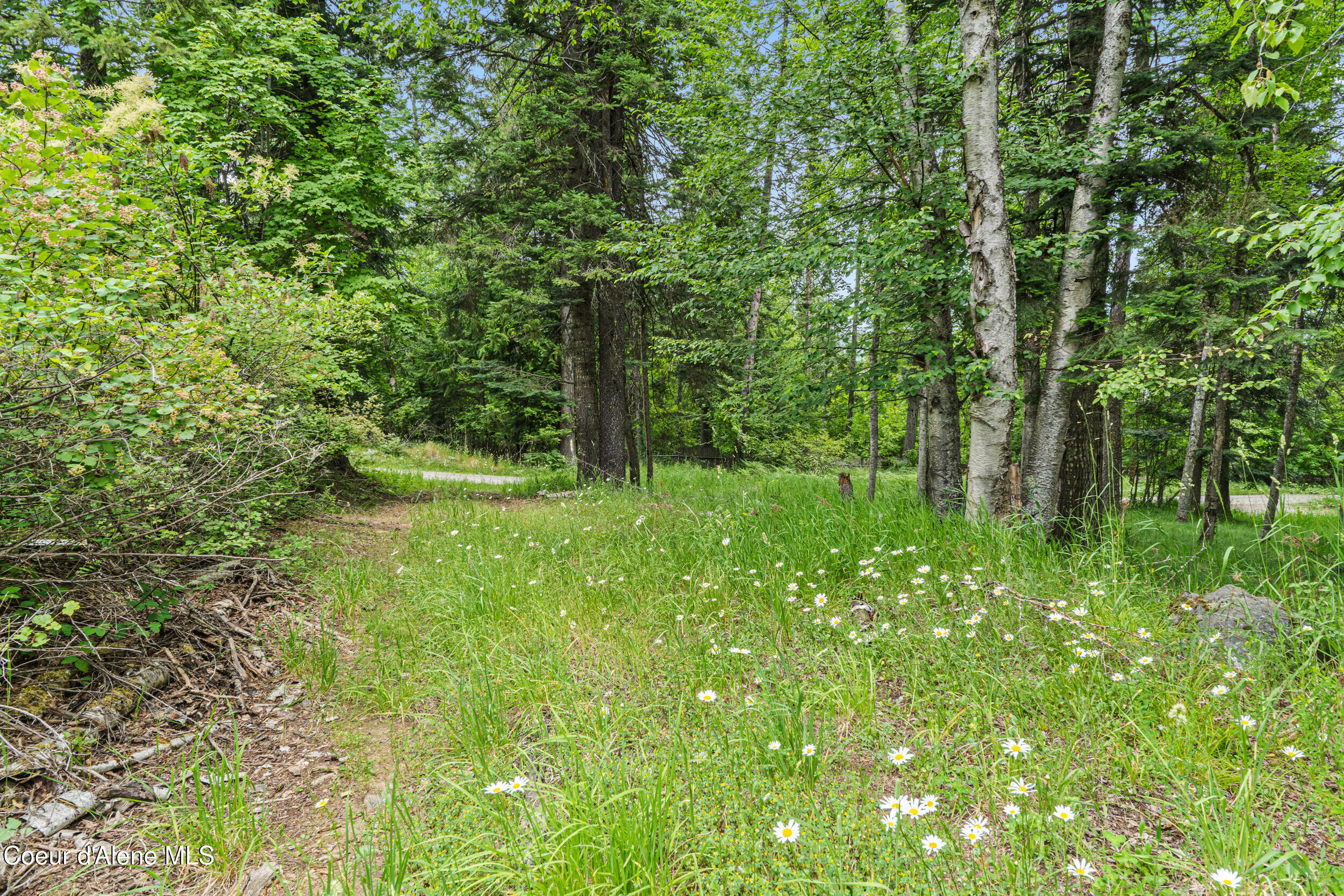 Lot 10 Birch Beauty Road Priest River, ID 83856 - Photo 12 of 41 09-birch-beauty rd-priest river