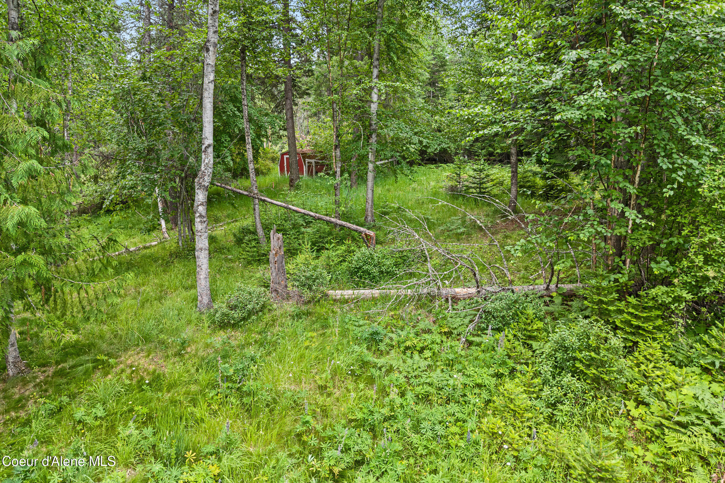 Lot 10 Birch Beauty Road Priest River, ID 83856 - Photo 19 of 41 16-birch-beauty rd-priest river