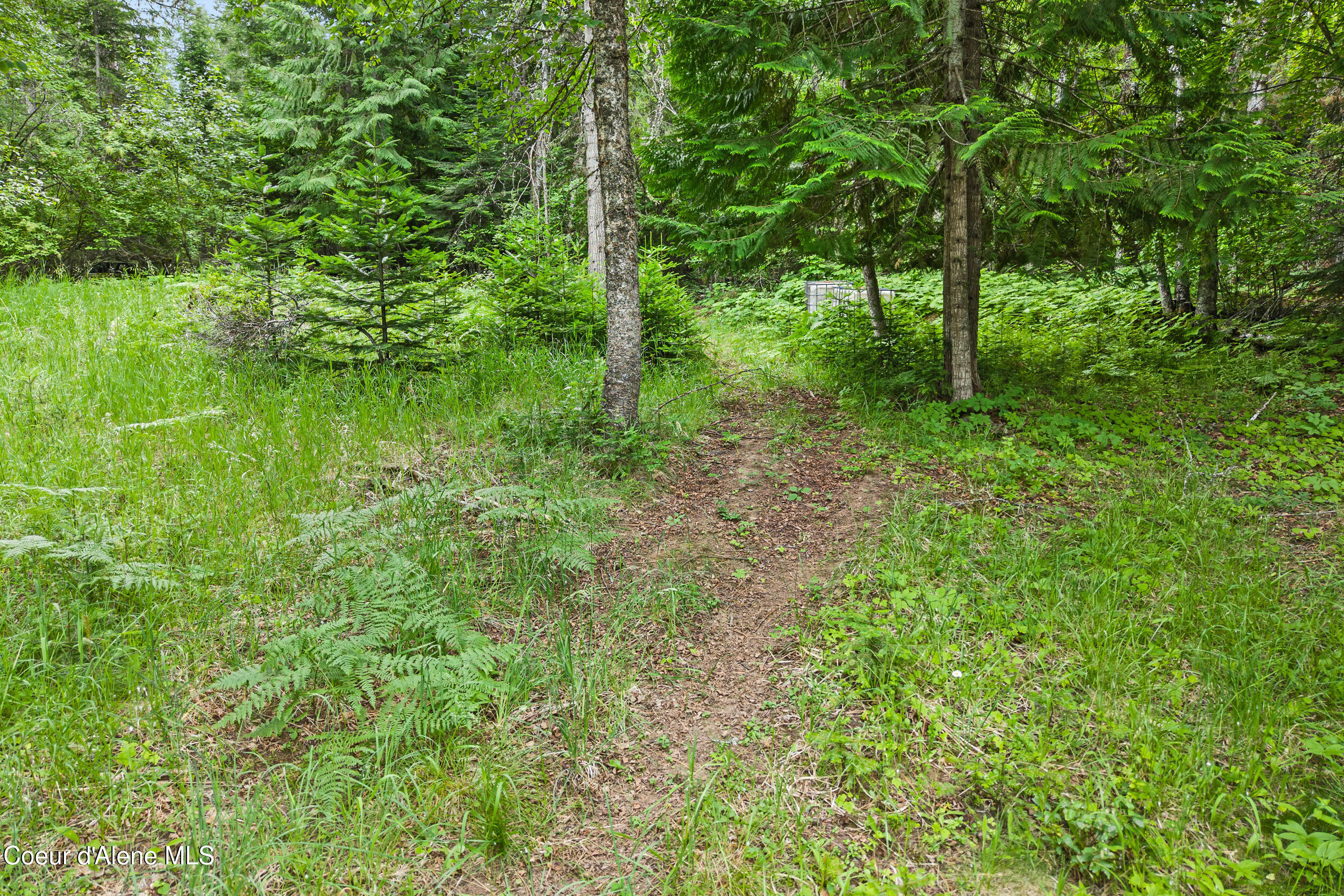 Lot 10 Birch Beauty Road Priest River, ID 83856 - Photo 20 of 41 17-birch-beauty rd-priest river
