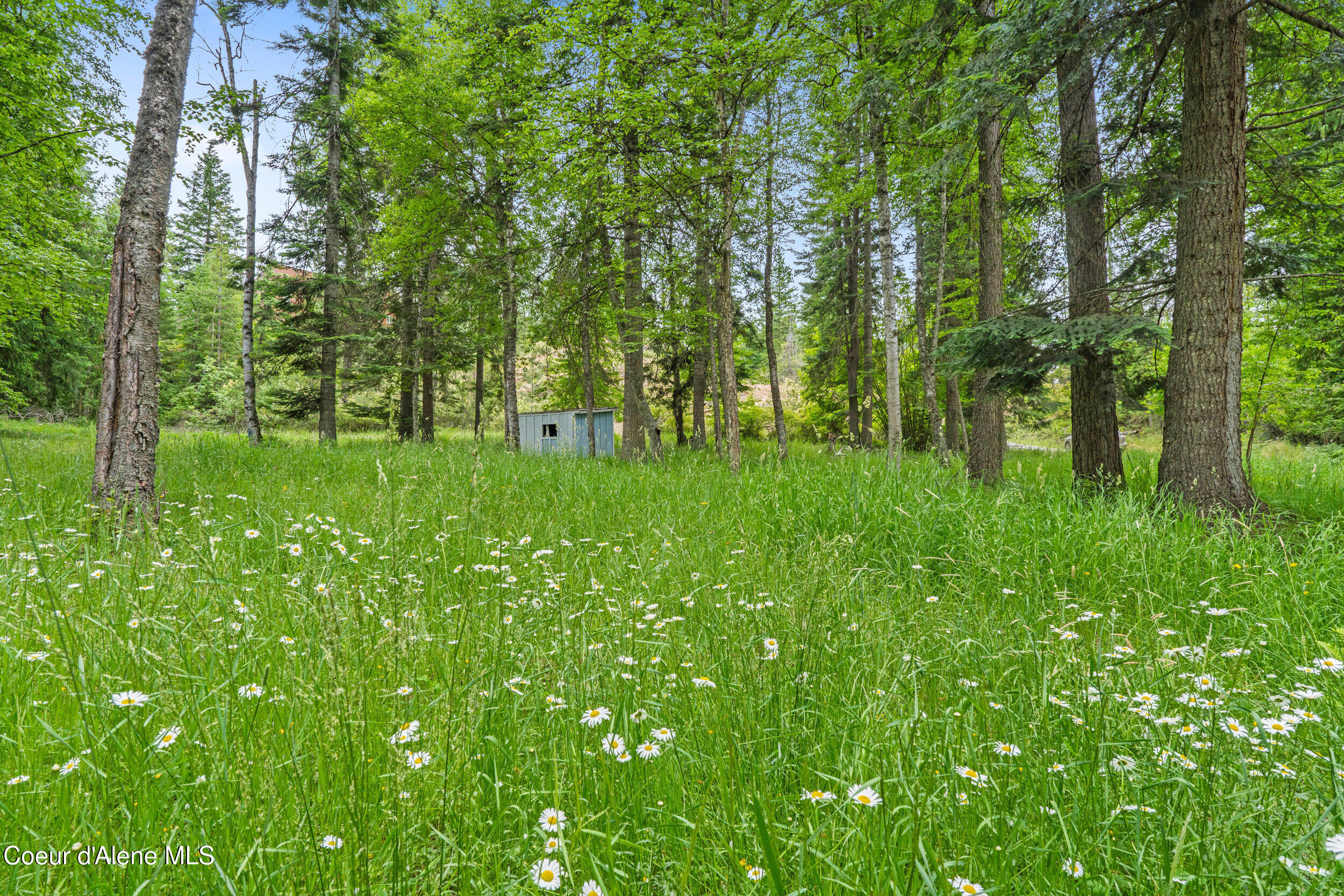 Lot 10 Birch Beauty Road Priest River, ID 83856 - Photo 2 of 41 05-birch-beauty rd-priest river
