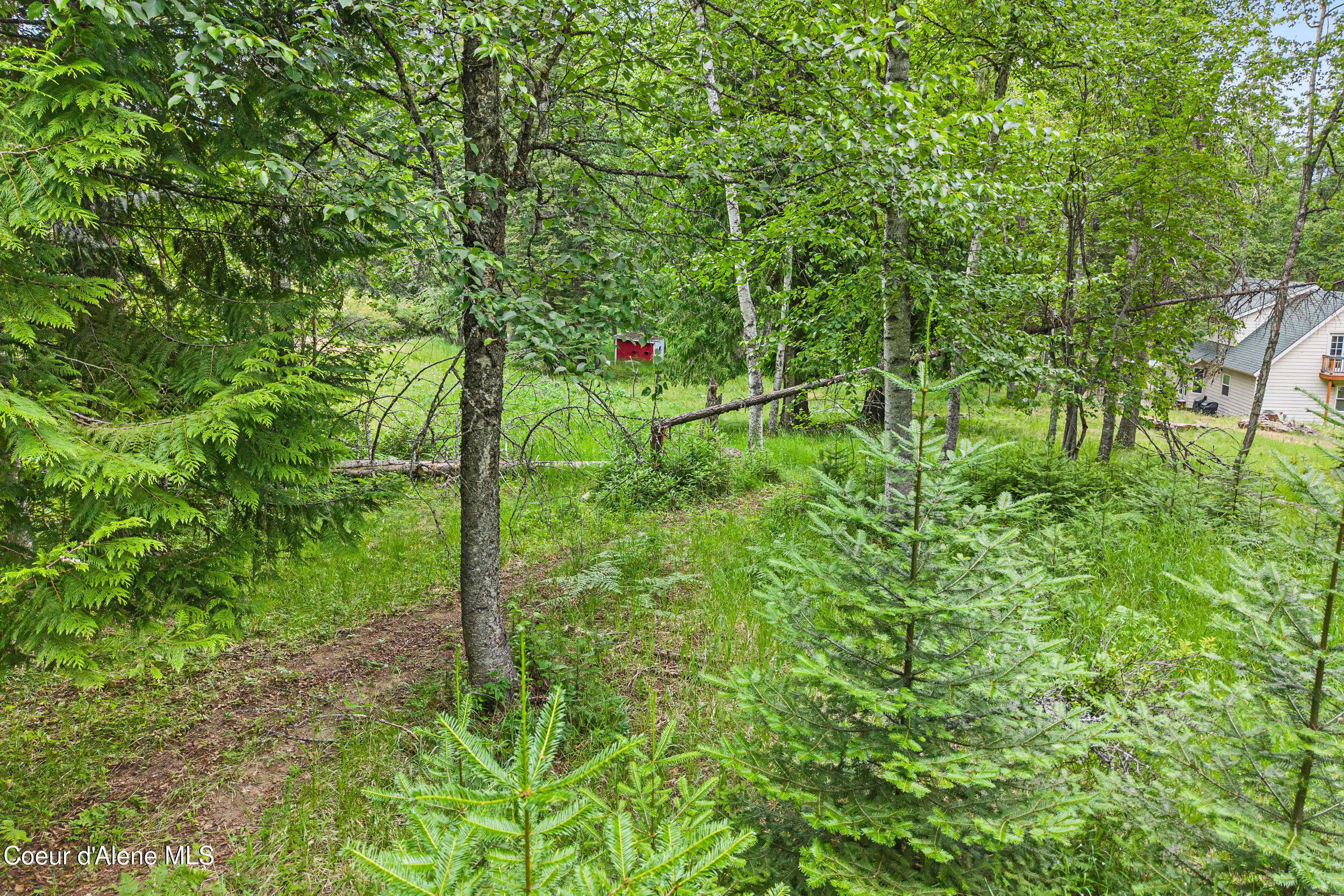 Lot 10 Birch Beauty Road Priest River, ID 83856 - Photo 21 of 41 18-birch-beauty rd-priest river