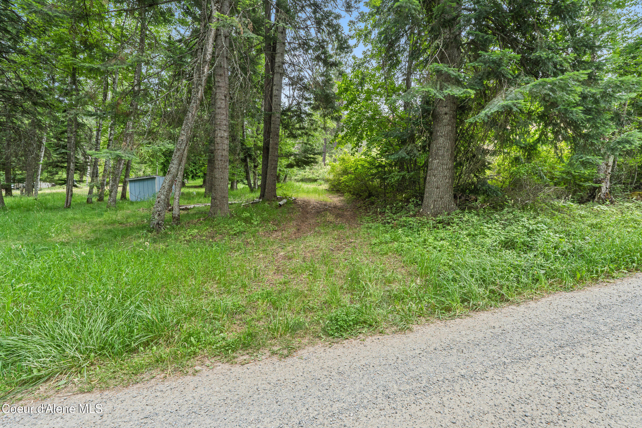 Lot 10 Birch Beauty Road Priest River, ID 83856 - Photo 5 of 41 07-birch-beauty rd-priest river