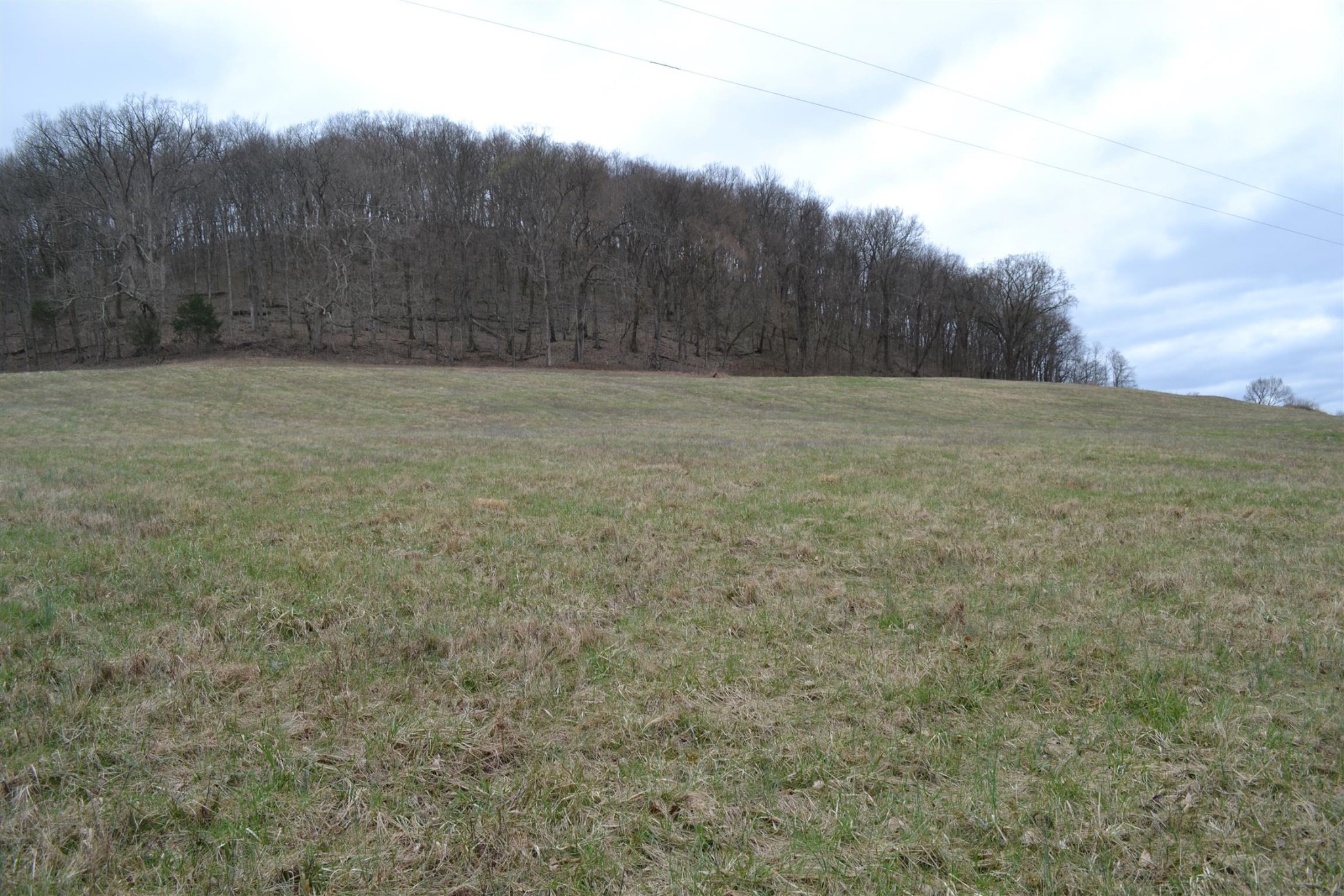0 Hog Hollow Road Bethpage, TN 37022 - Photo 1 of 16 Gallery Image 1