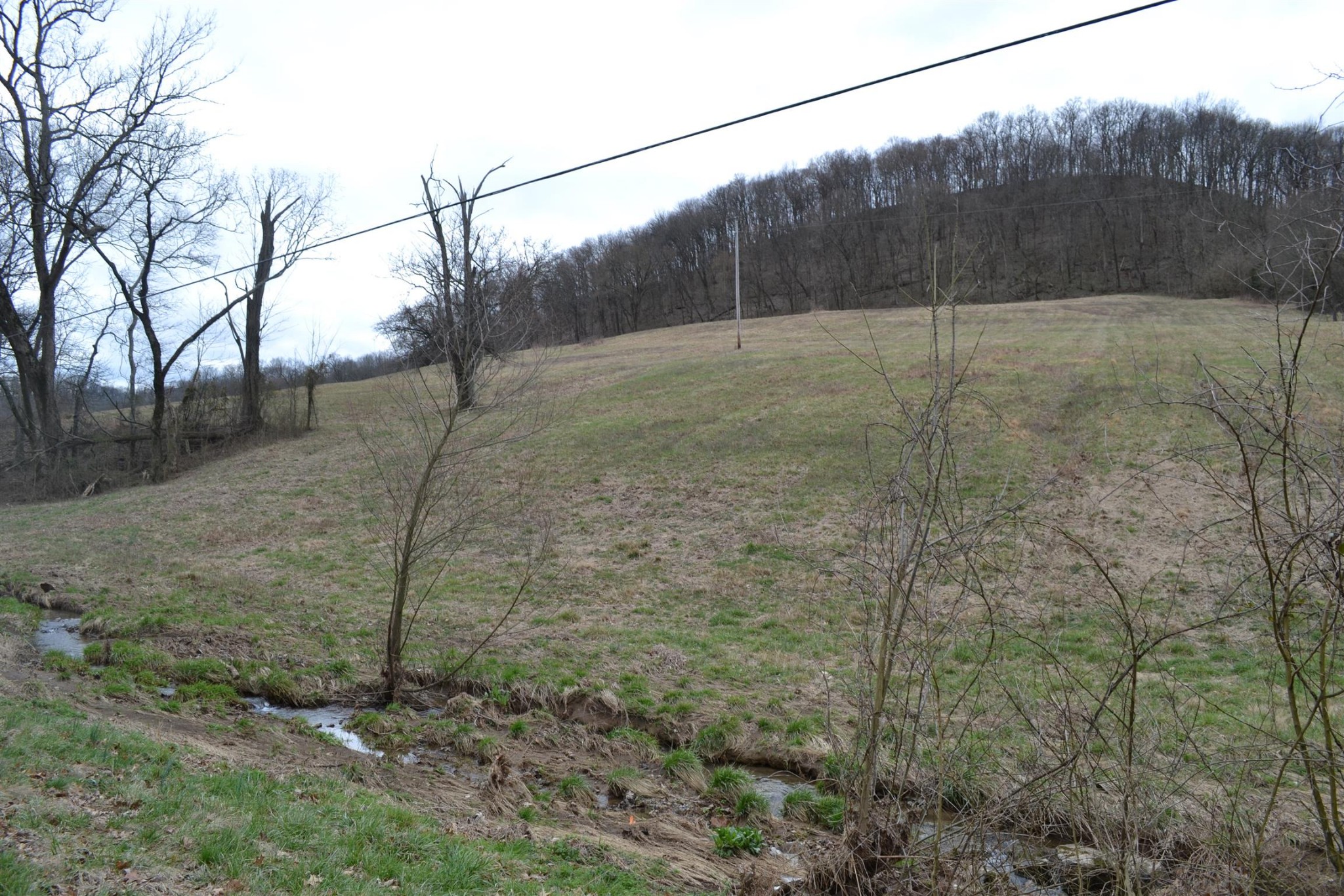 0 Hog Hollow Road Bethpage, TN 37022 - Photo 2 of 16 Gallery Image 2