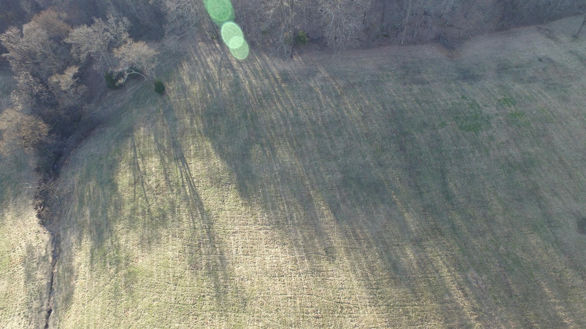 0 Hog Hollow Road Bethpage, TN 37022 - Photo 11 of 16 Gallery Image 11