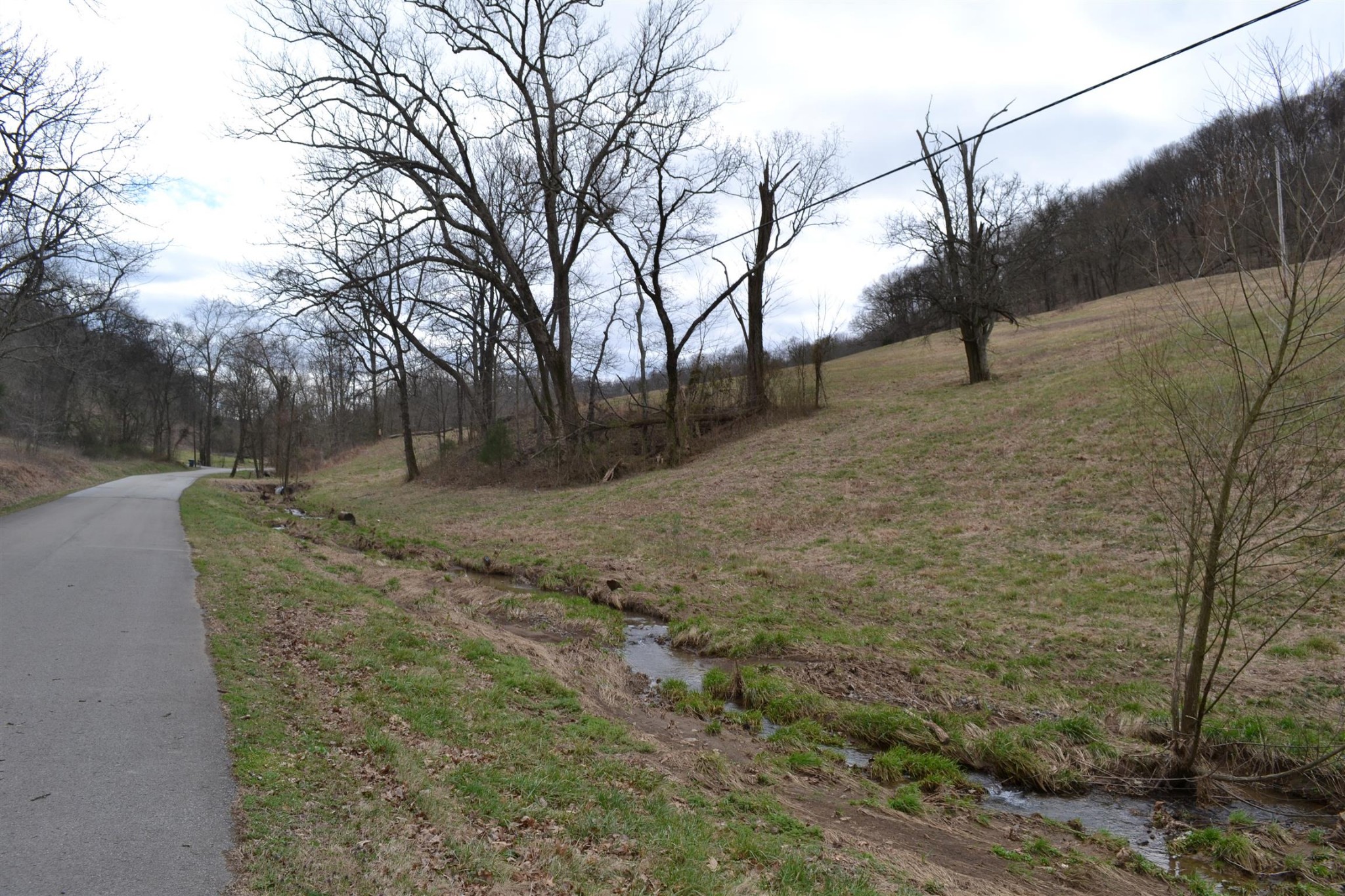 0 Hog Hollow Road Bethpage, TN 37022 - Photo 3 of 16 Gallery Image 3