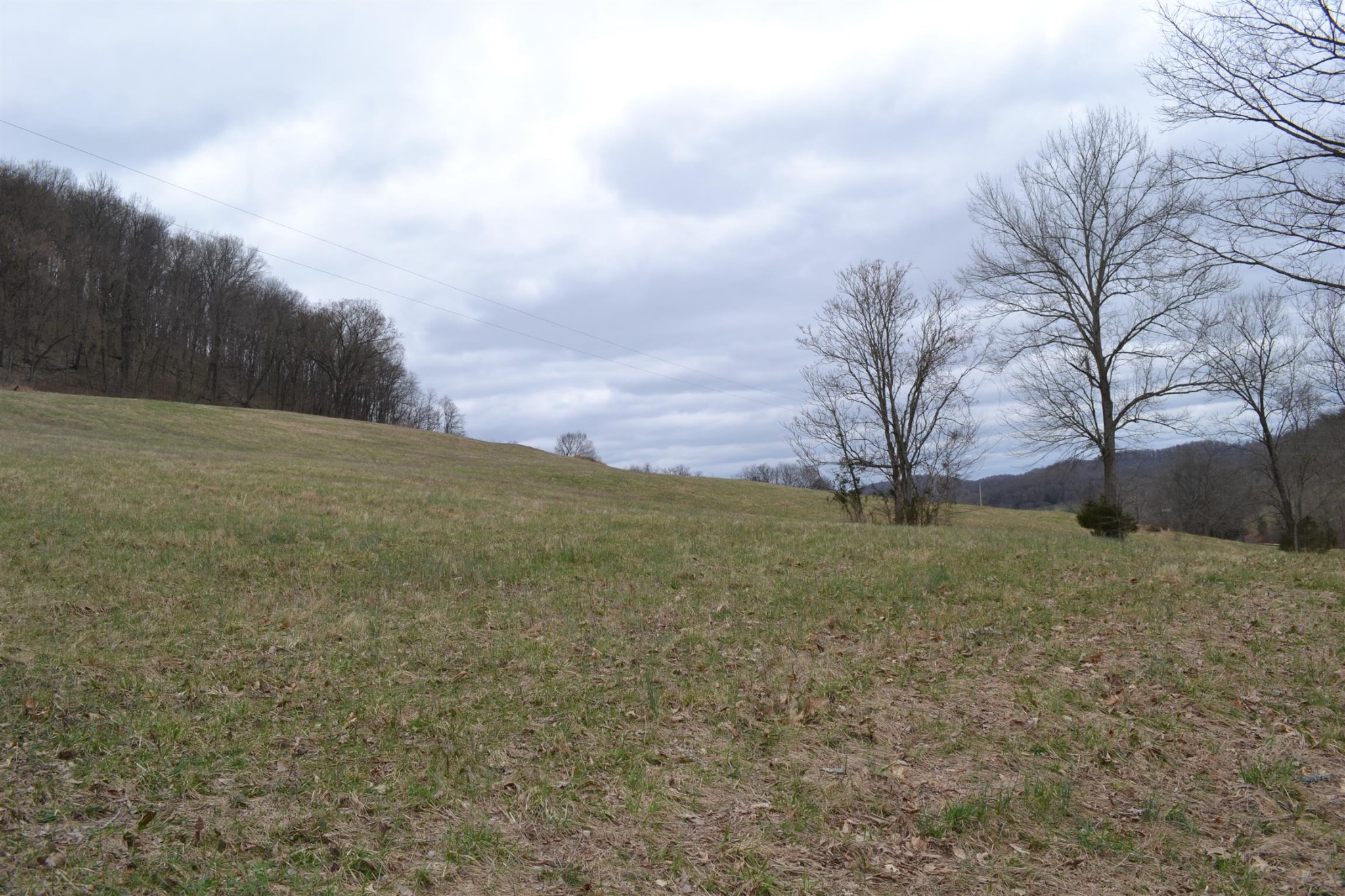 0 Hog Hollow Road Bethpage, TN 37022 - Photo 4 of 16 Gallery Image 4