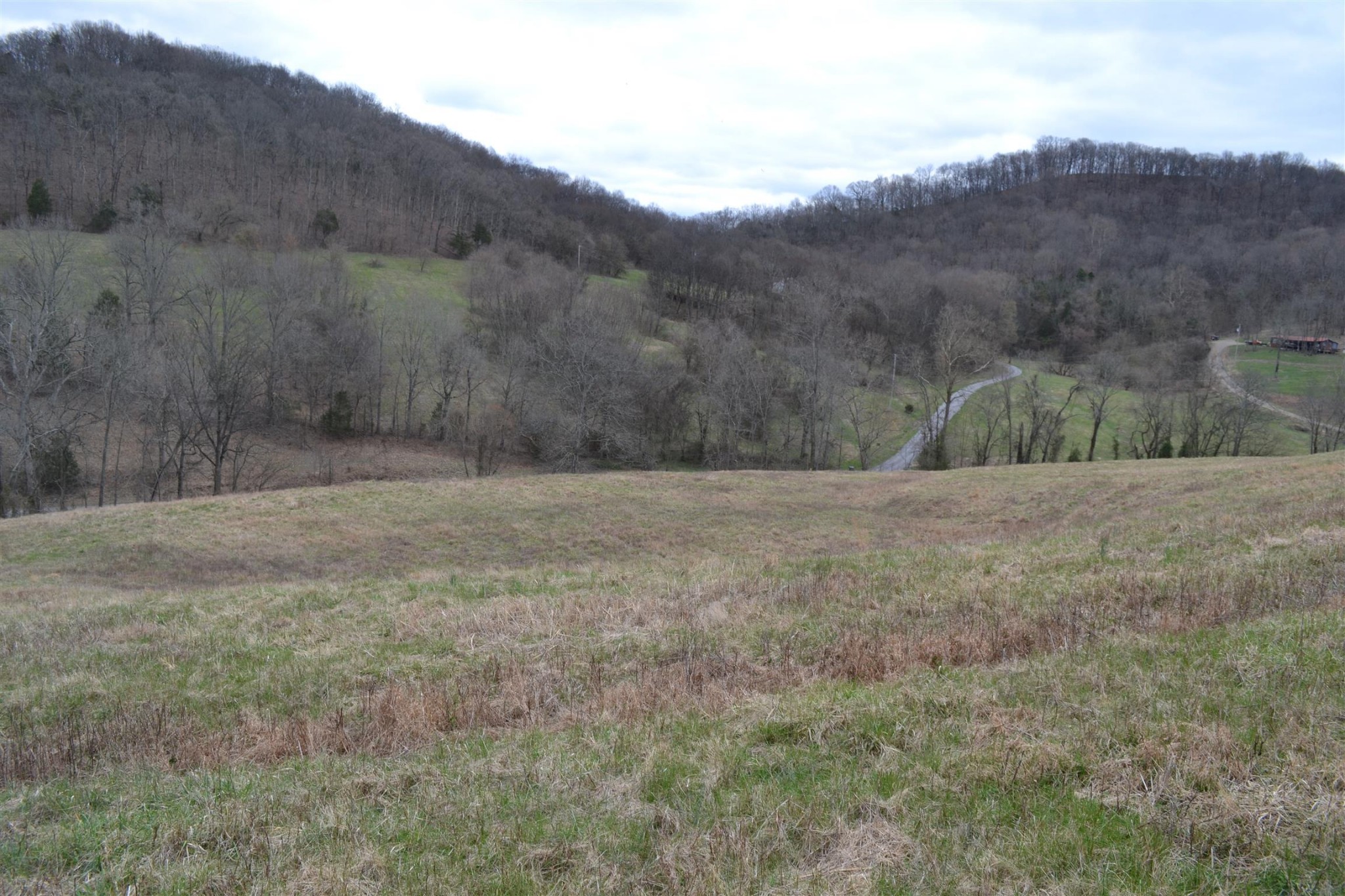 0 Hog Hollow Road Bethpage, TN 37022 - Photo 5 of 16 Gallery Image 5