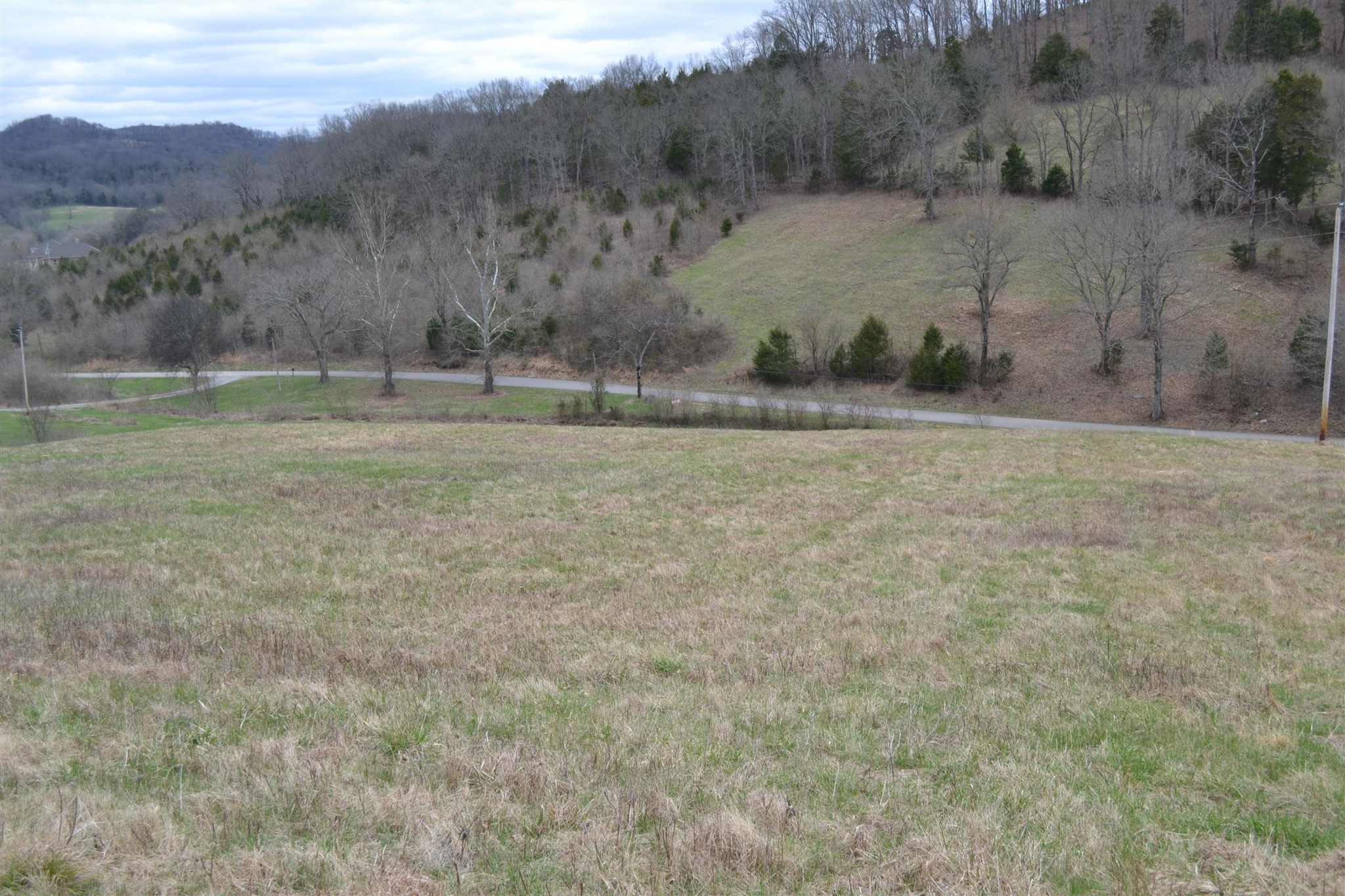0 Hog Hollow Road Bethpage, TN 37022 - Photo 6 of 16 Gallery Image 6