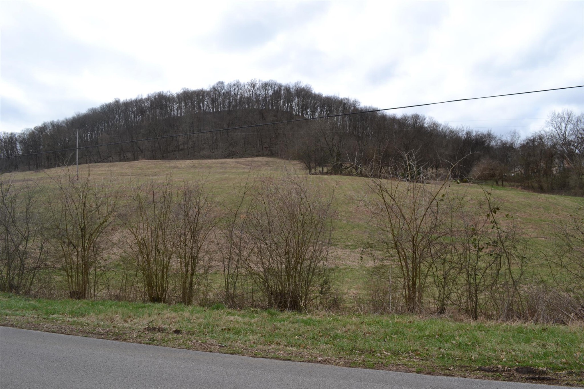0 Hog Hollow Road Bethpage, TN 37022 - Photo 7 of 16 Gallery Image 7