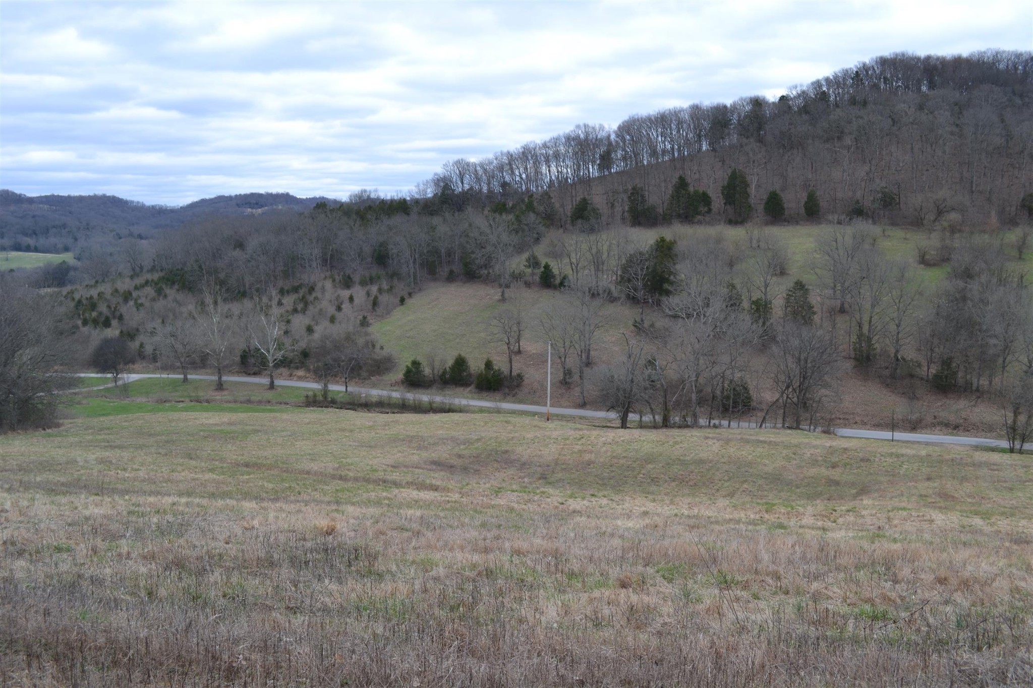 0 Hog Hollow Road Bethpage, TN 37022 - Photo 8 of 16 Gallery Image 8