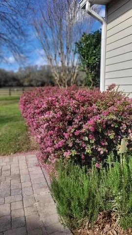 $2,599,000 | 1198 Southwest 104th Street Road, Ocala, FL 34476