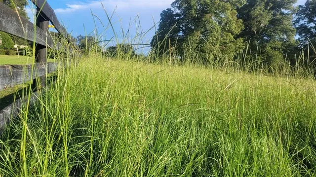 $2,599,000 | 1198 Southwest 104th Street Road, Ocala, FL 34476