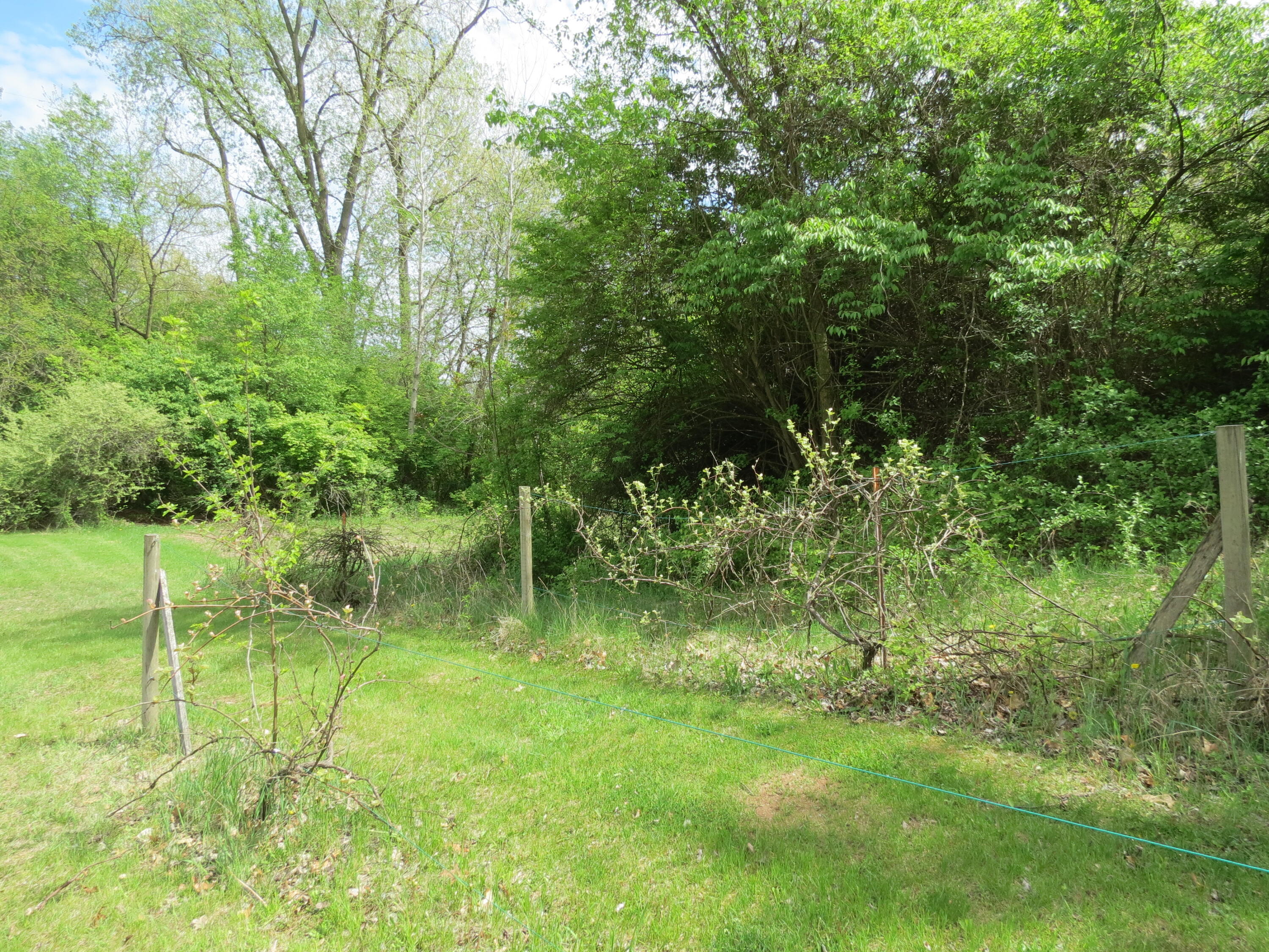 3370 Henry Road Jackson, MI 49201 - Photo 63 of 74 Grape vines