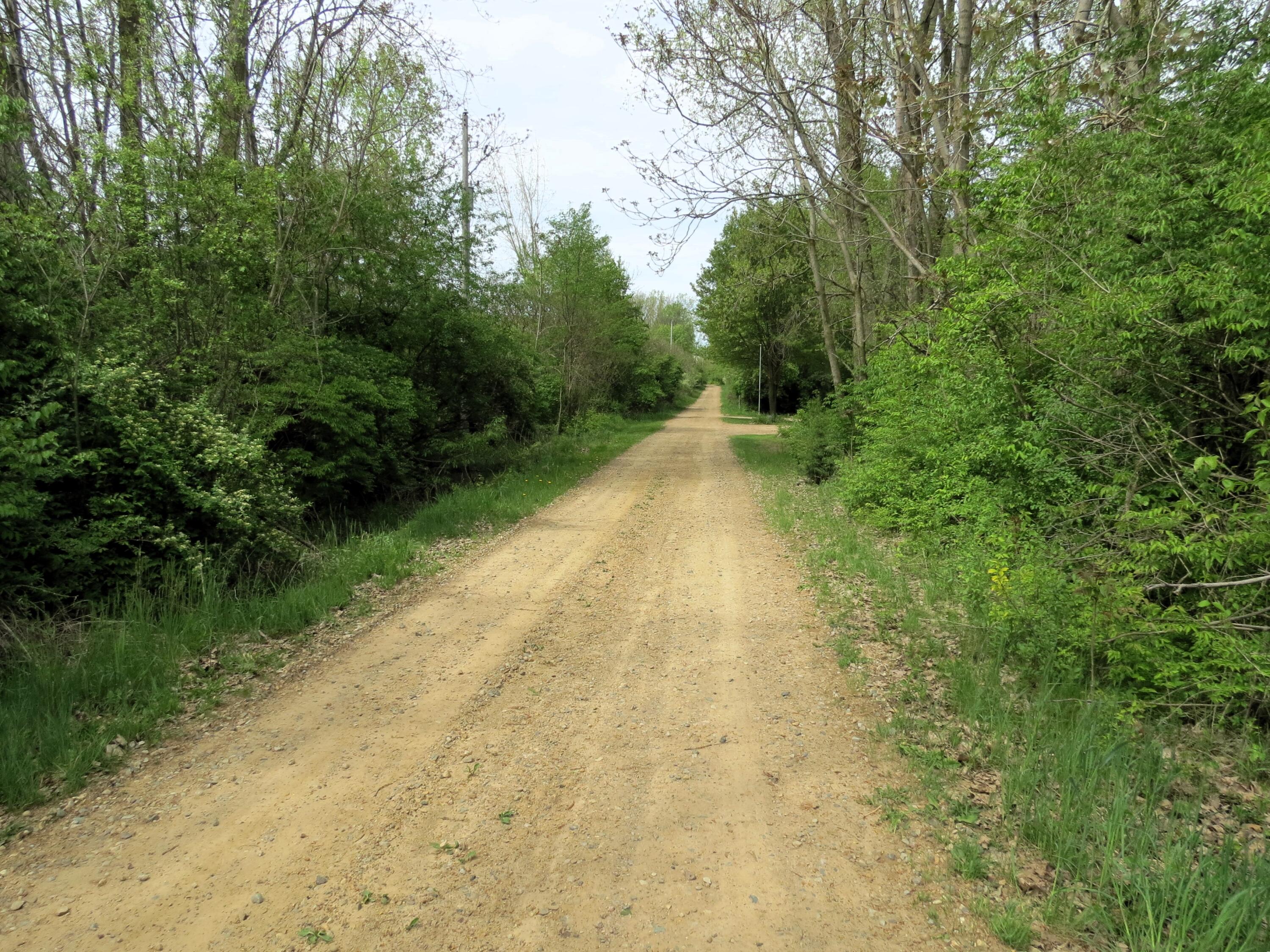 3370 Henry Road Jackson, MI 49201 - Photo 73 of 74 Private drive