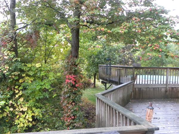 36 Freeman Road Charlton, MA 01507 - Photo 22 of 29