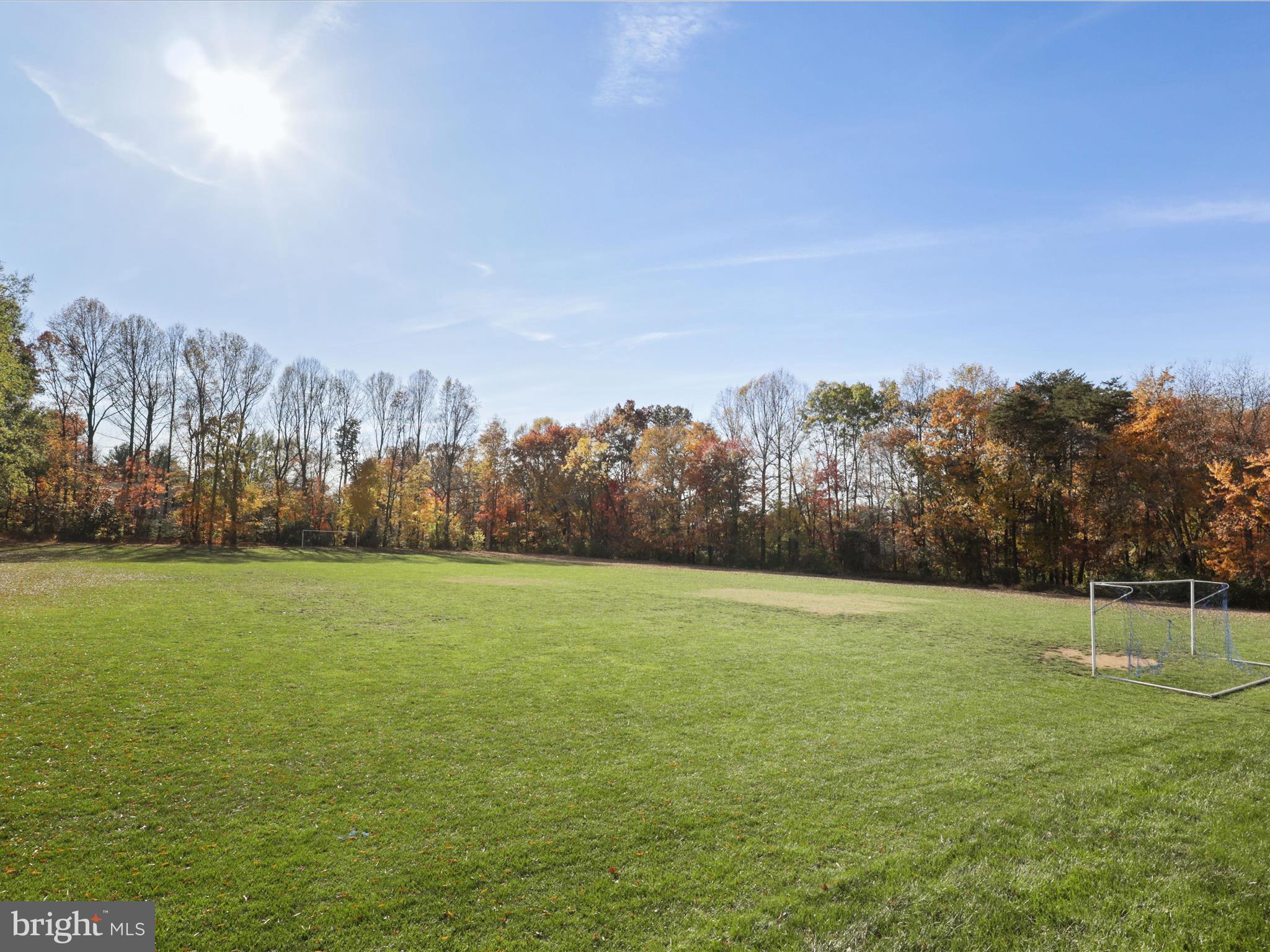 1554 Deer Point Way Reston, VA 20194 - Photo 48 of 69