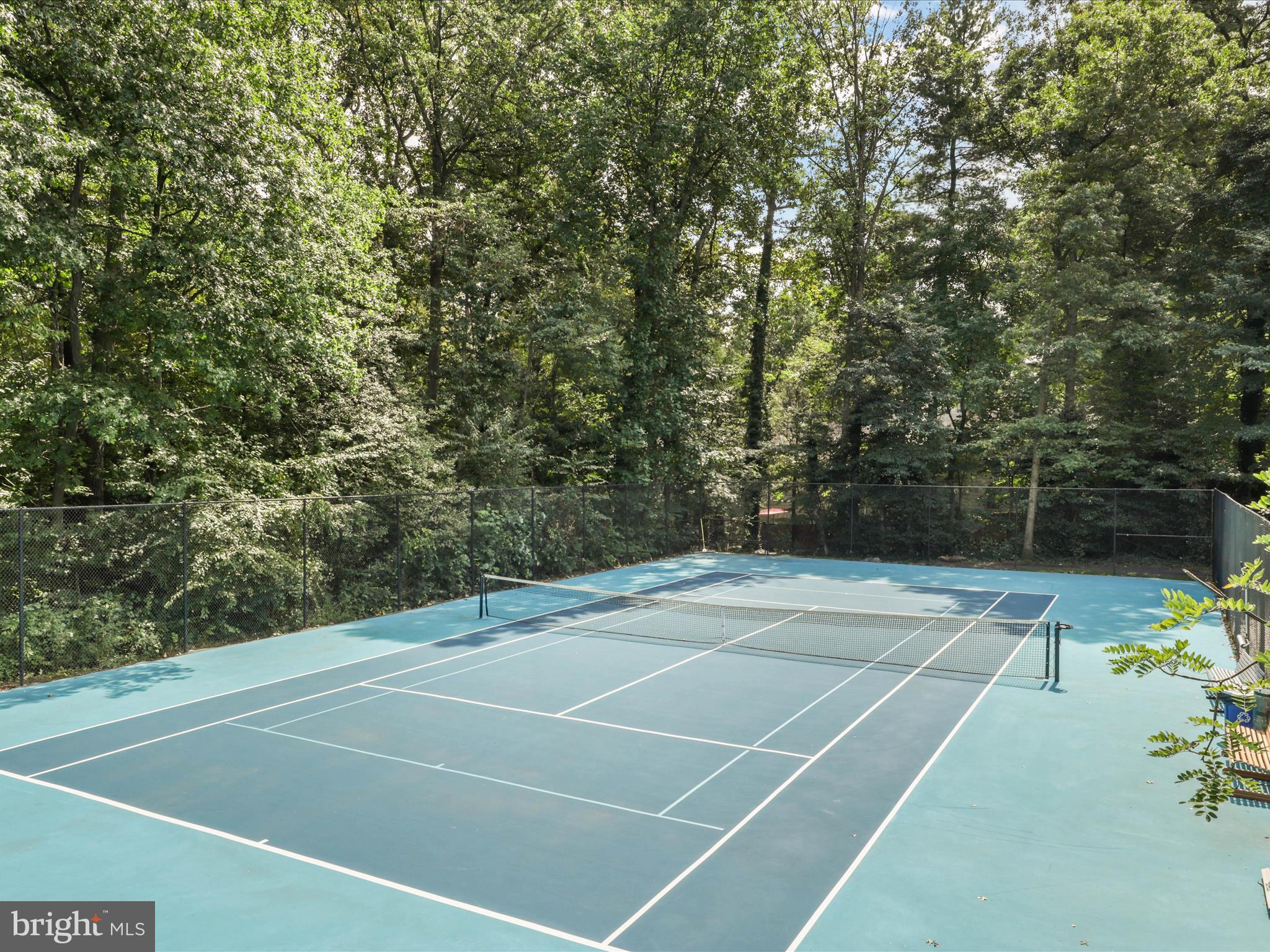1554 Deer Point Way Reston, VA 20194 - Photo 58 of 69