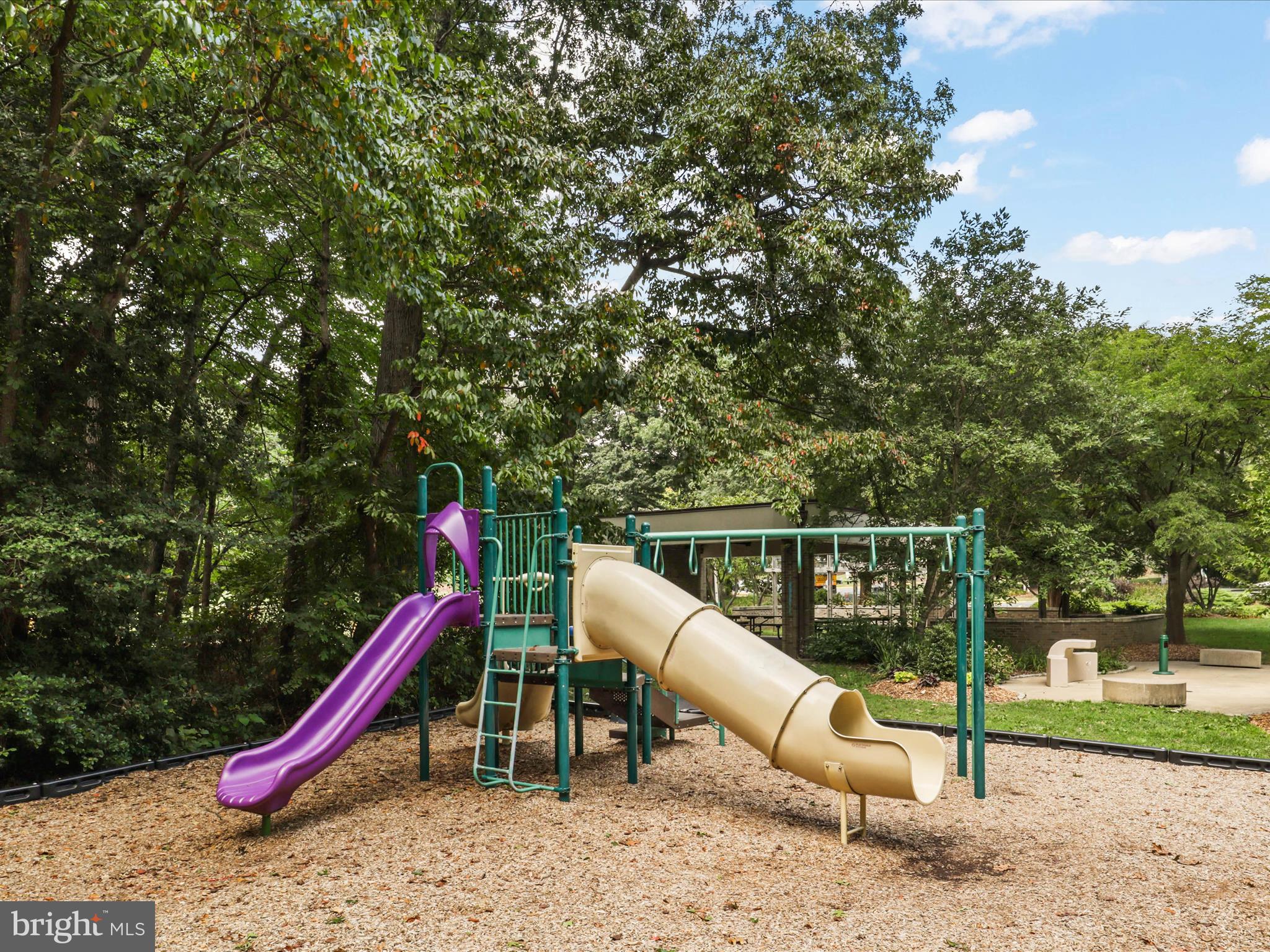 1554 Deer Point Way Reston, VA 20194 - Photo 59 of 69
