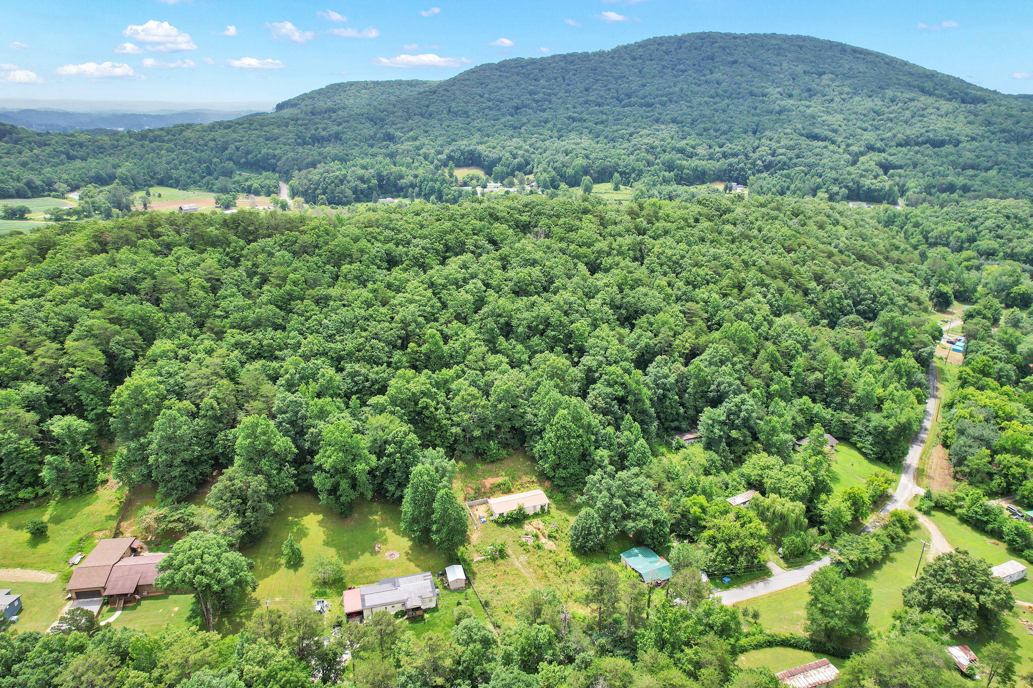 1241 Upper Cove Loop Road Dayton, TN 37321 - Photo 7 of 15 9-web-or-mls-DJI_0059