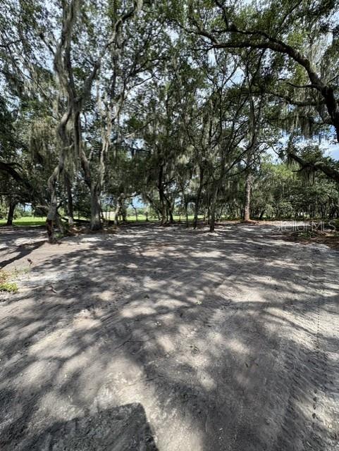 309 County Rd Crescent Crescent City, FL 32112 - Photo 4 of 5