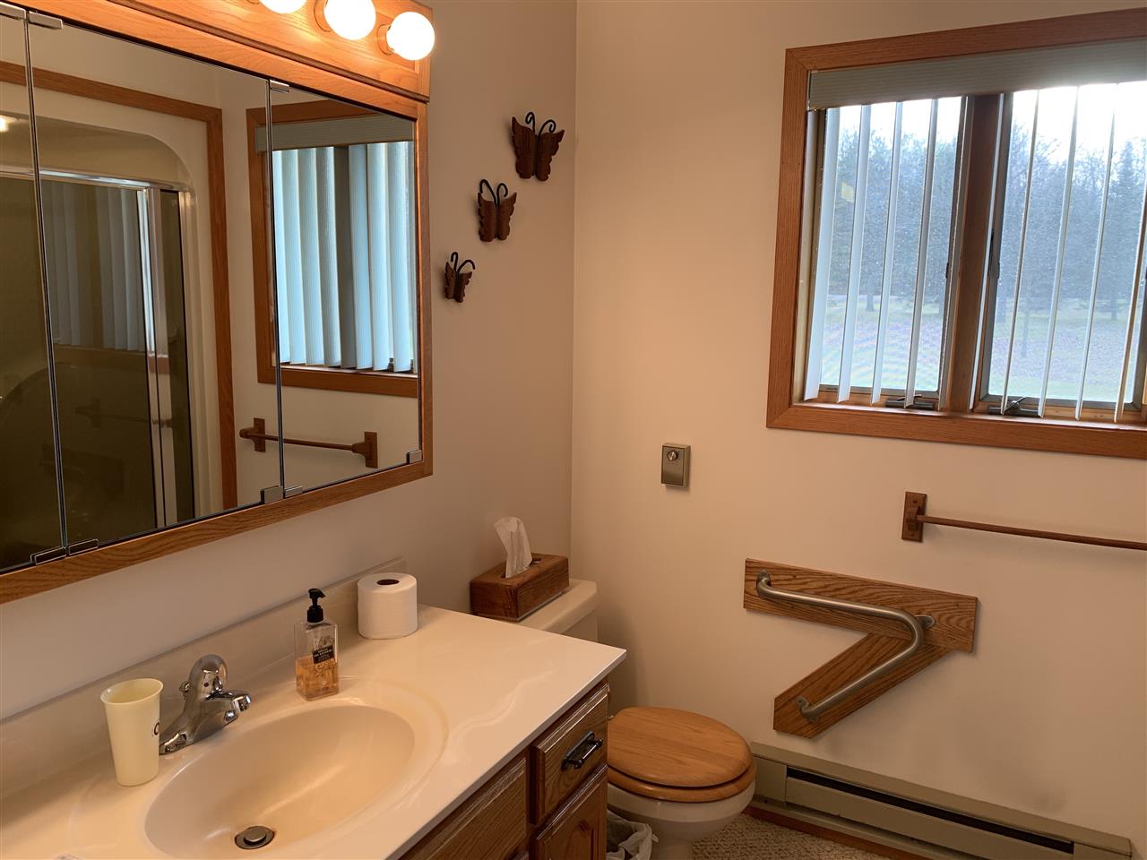 4488 South Schrieber Road Hemlock, MI 48626 - Photo 19 of 43 50001902-18.JPG