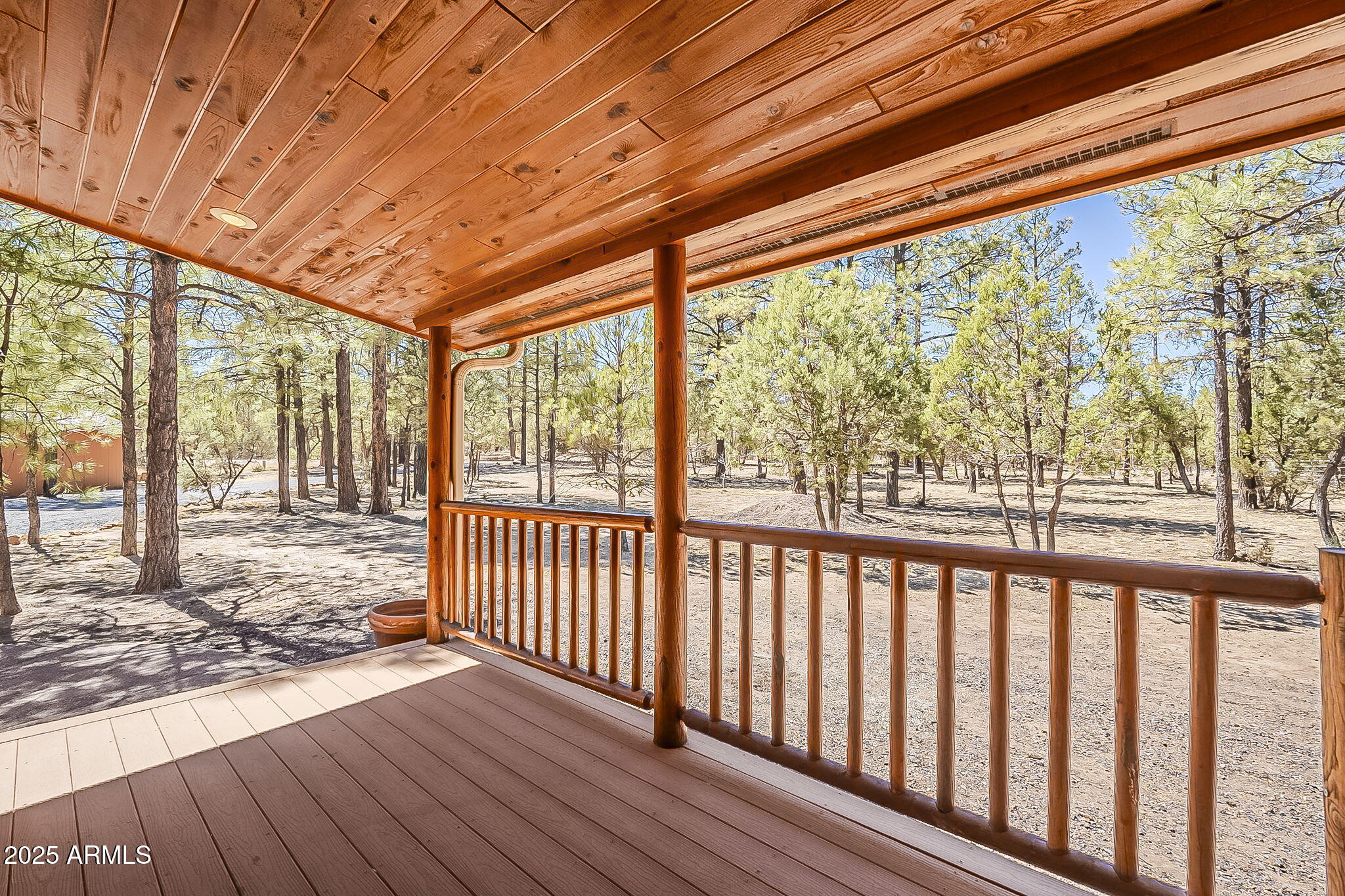 2793 Canyon Ridge Road Overgaard, AZ 85933 - Photo 4 of 76 19-web-or-mls-Canyon-6
